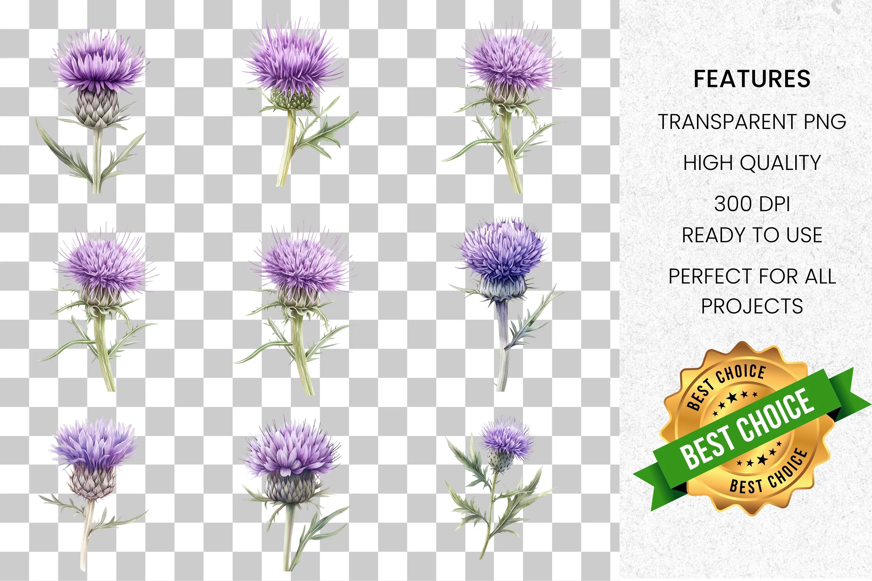 Scottish Thistle Clipart Bundle - Image 2