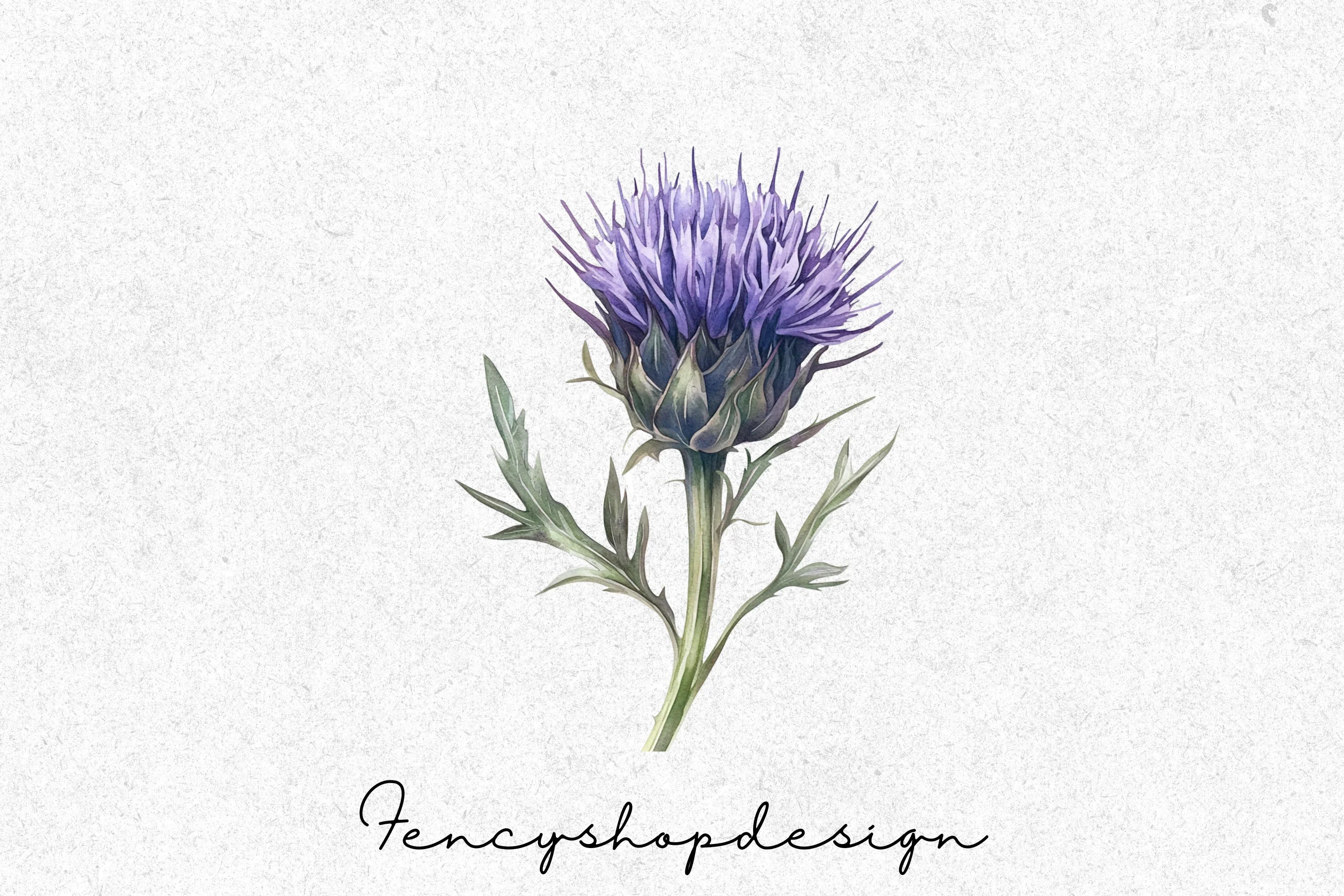 Scottish Thistle Clipart Bundle - Image 3