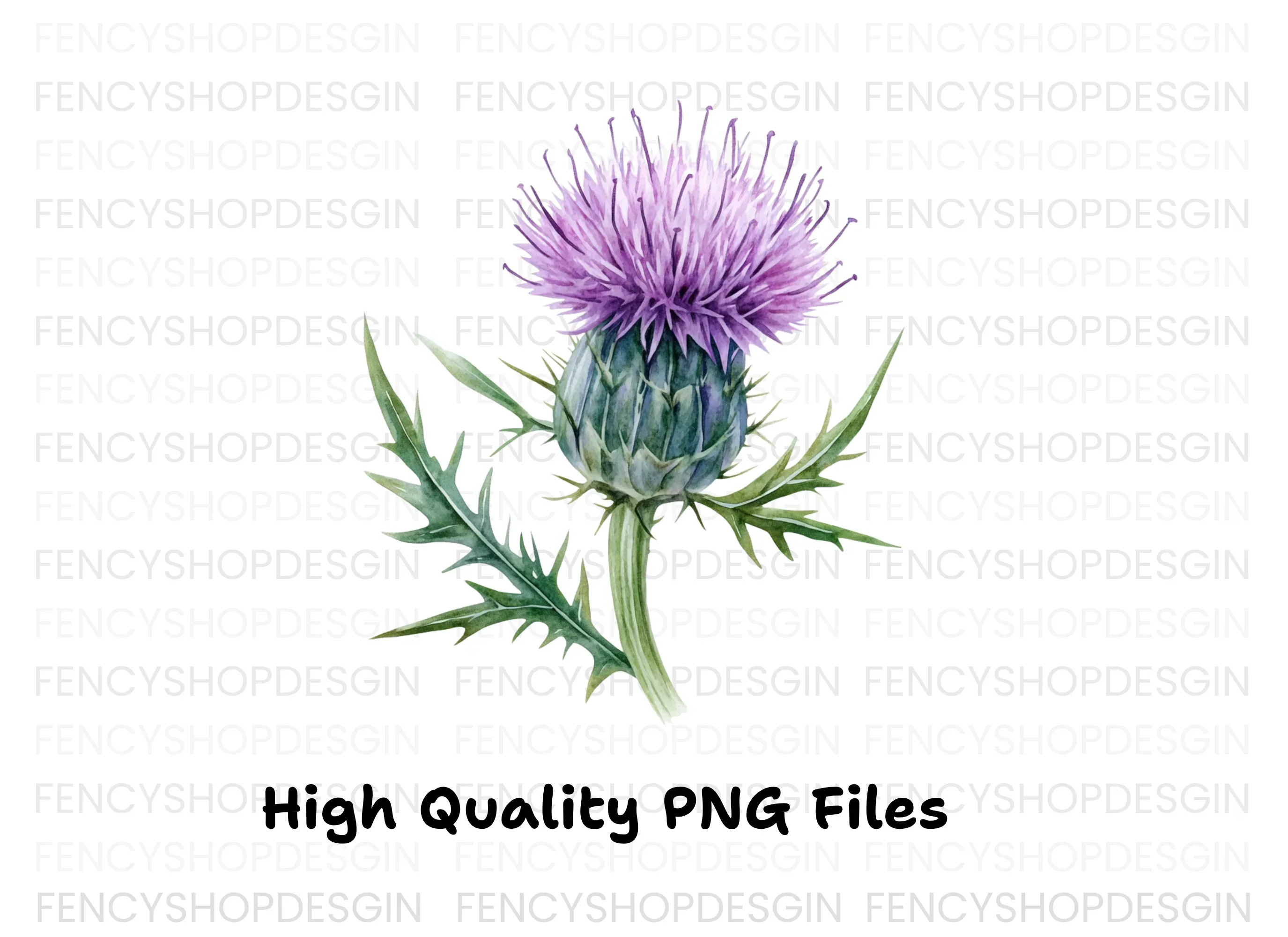 Scottish Thistle Flower Clipart Bundle - Image 3