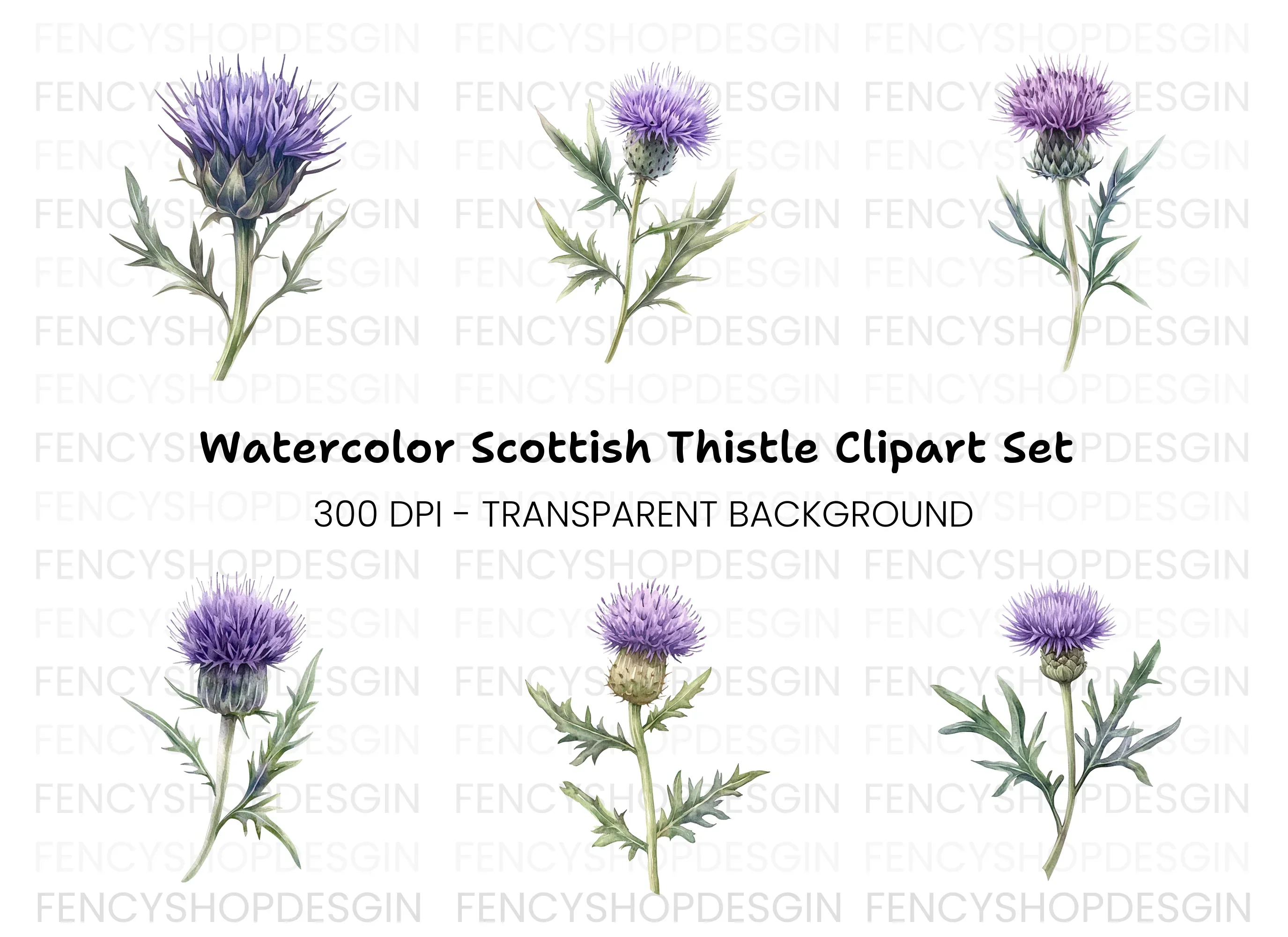 Scottish Thistle Flower Clipart Bundle