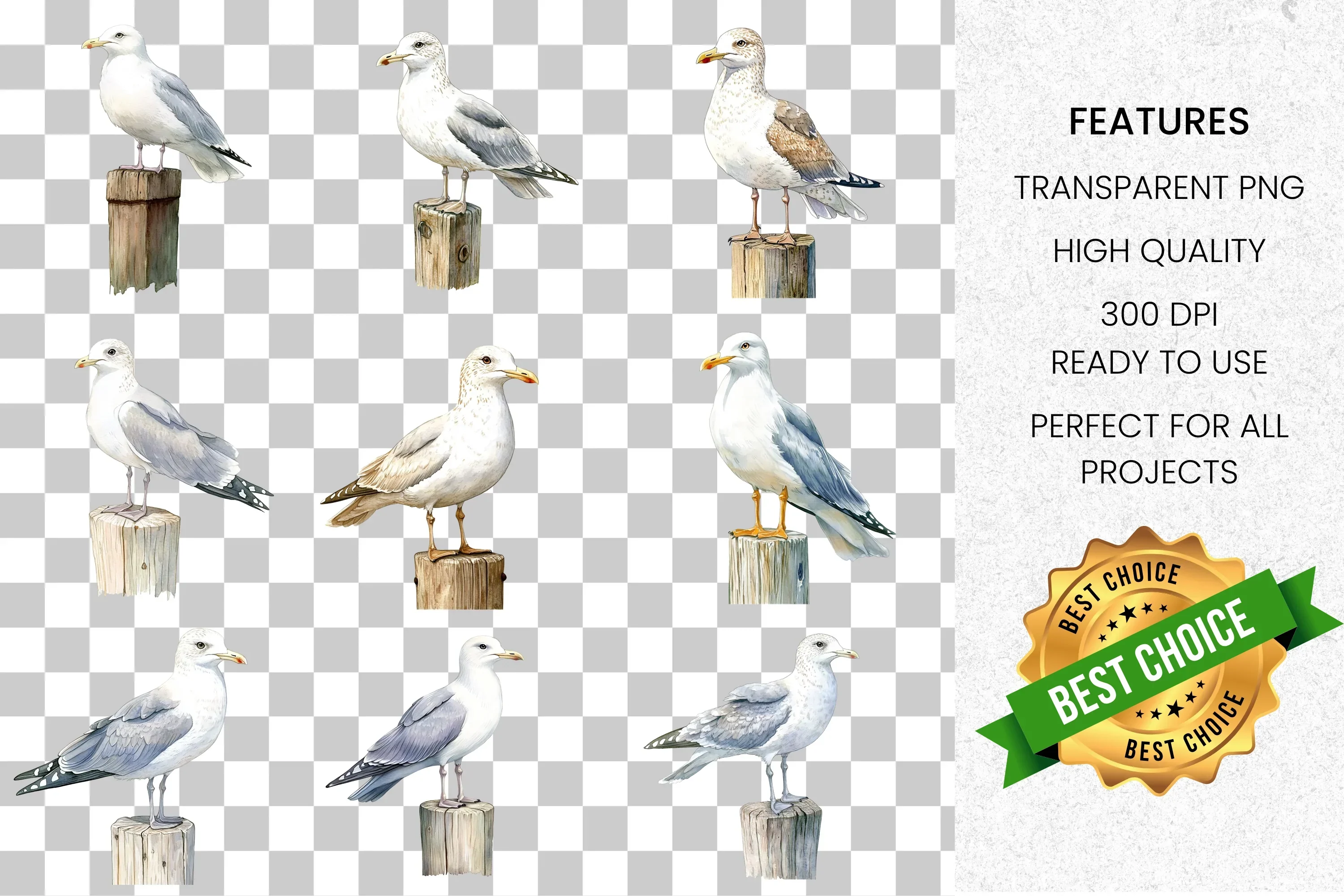 Seagull Clipart Bundle - Image 2
