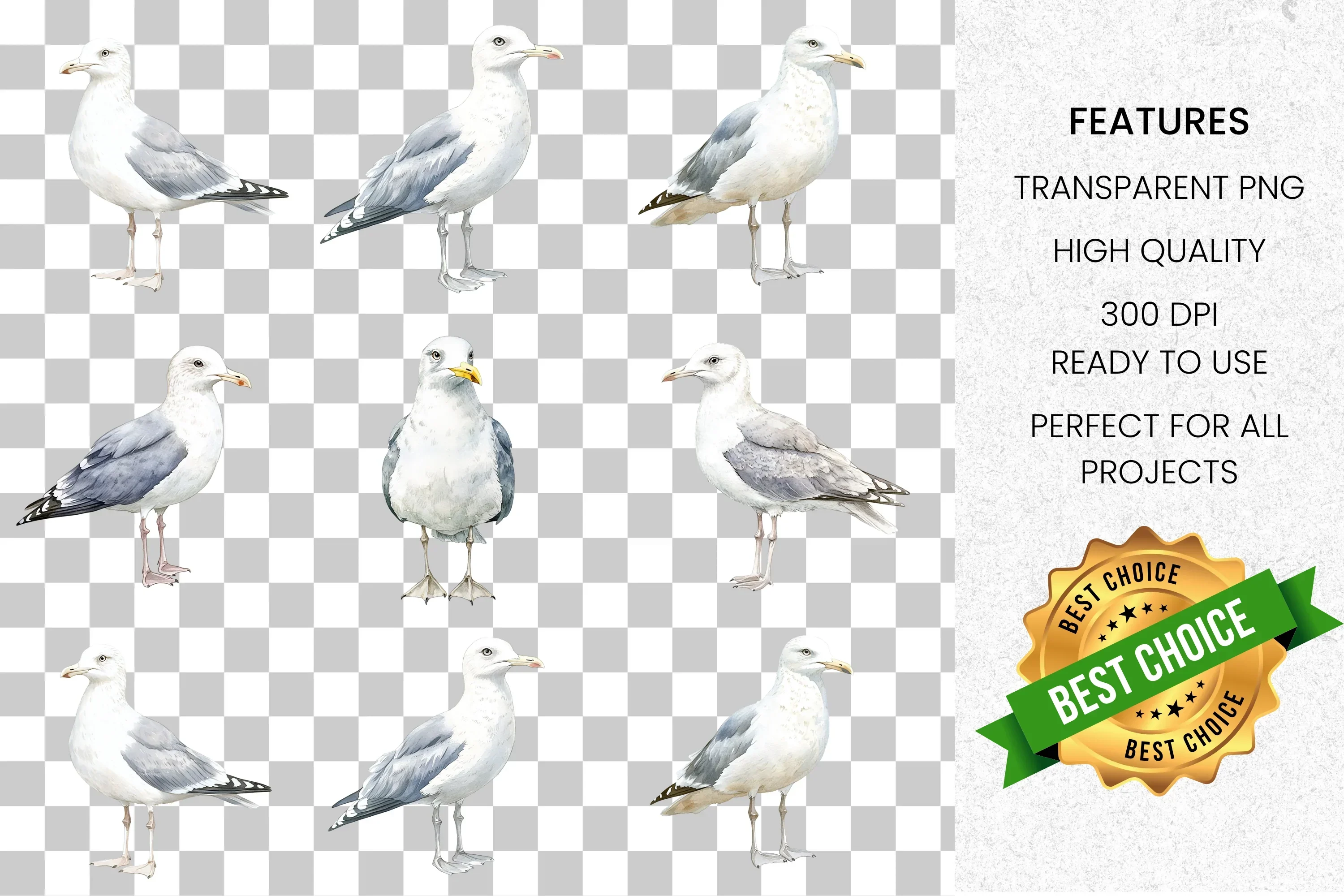 Seagull Clipart Bundle - Image 2