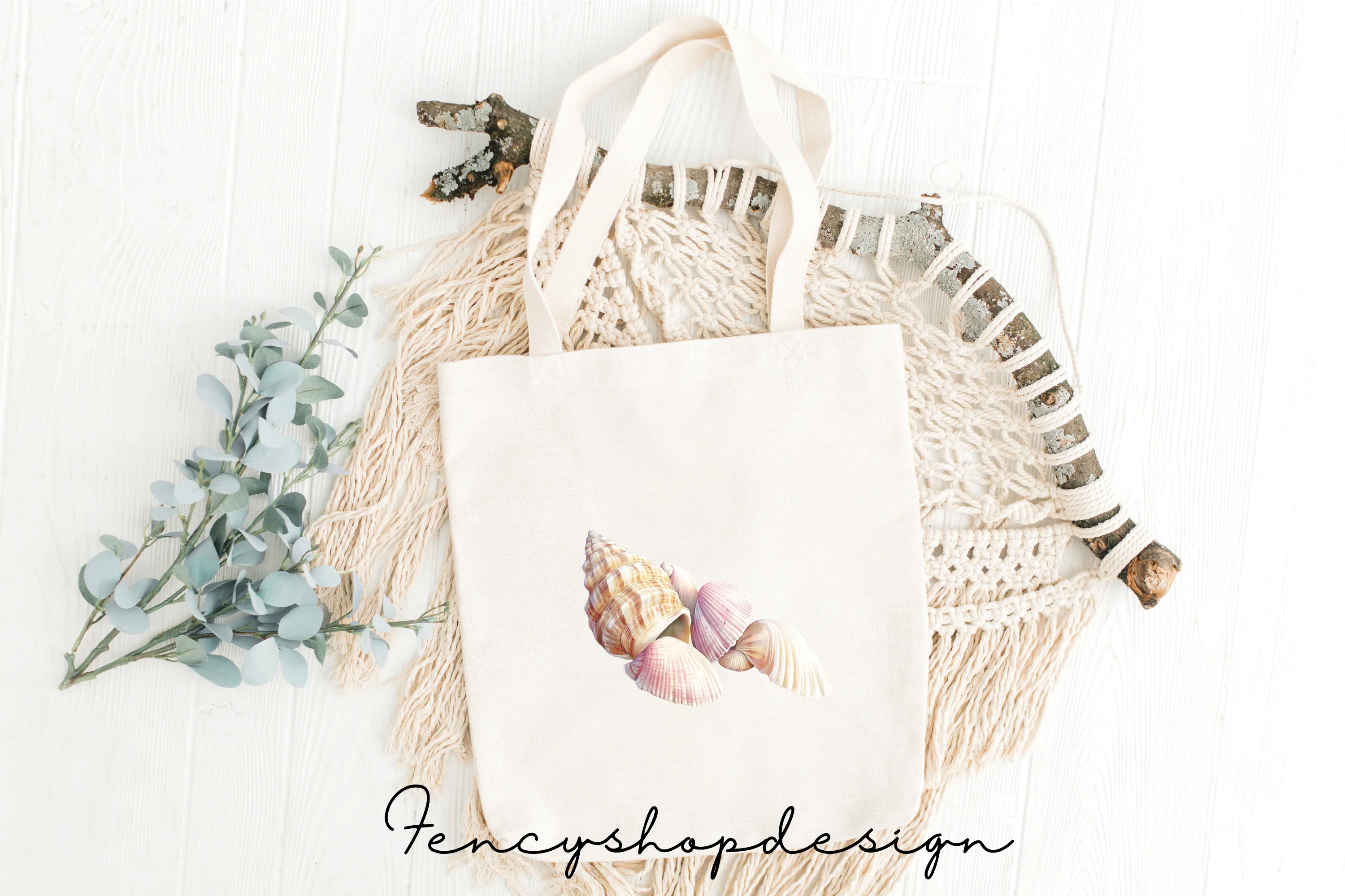 Seashell Clipart Bundle - Image 2