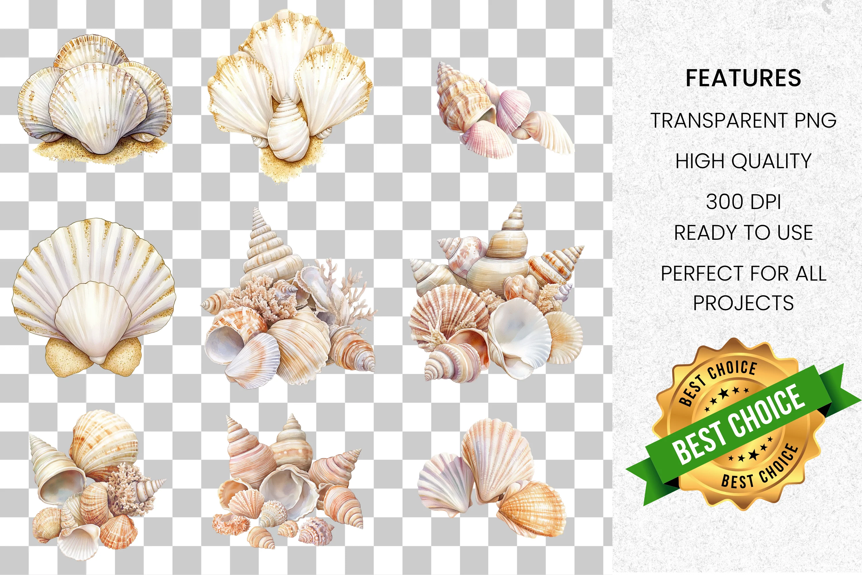 Seashell Clipart Bundle - Image 7