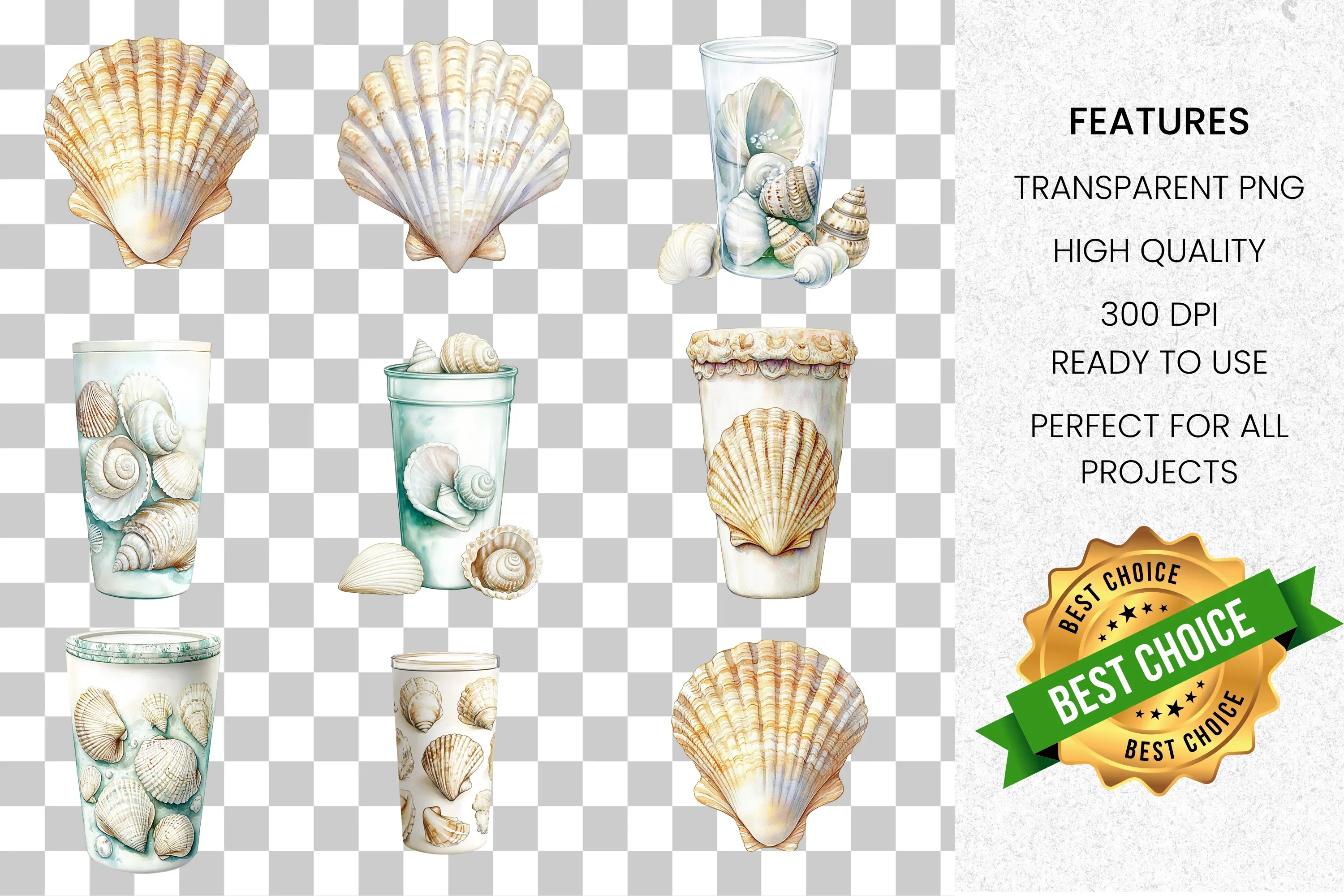 Seashells Jar Clipart Bundle - Image 8