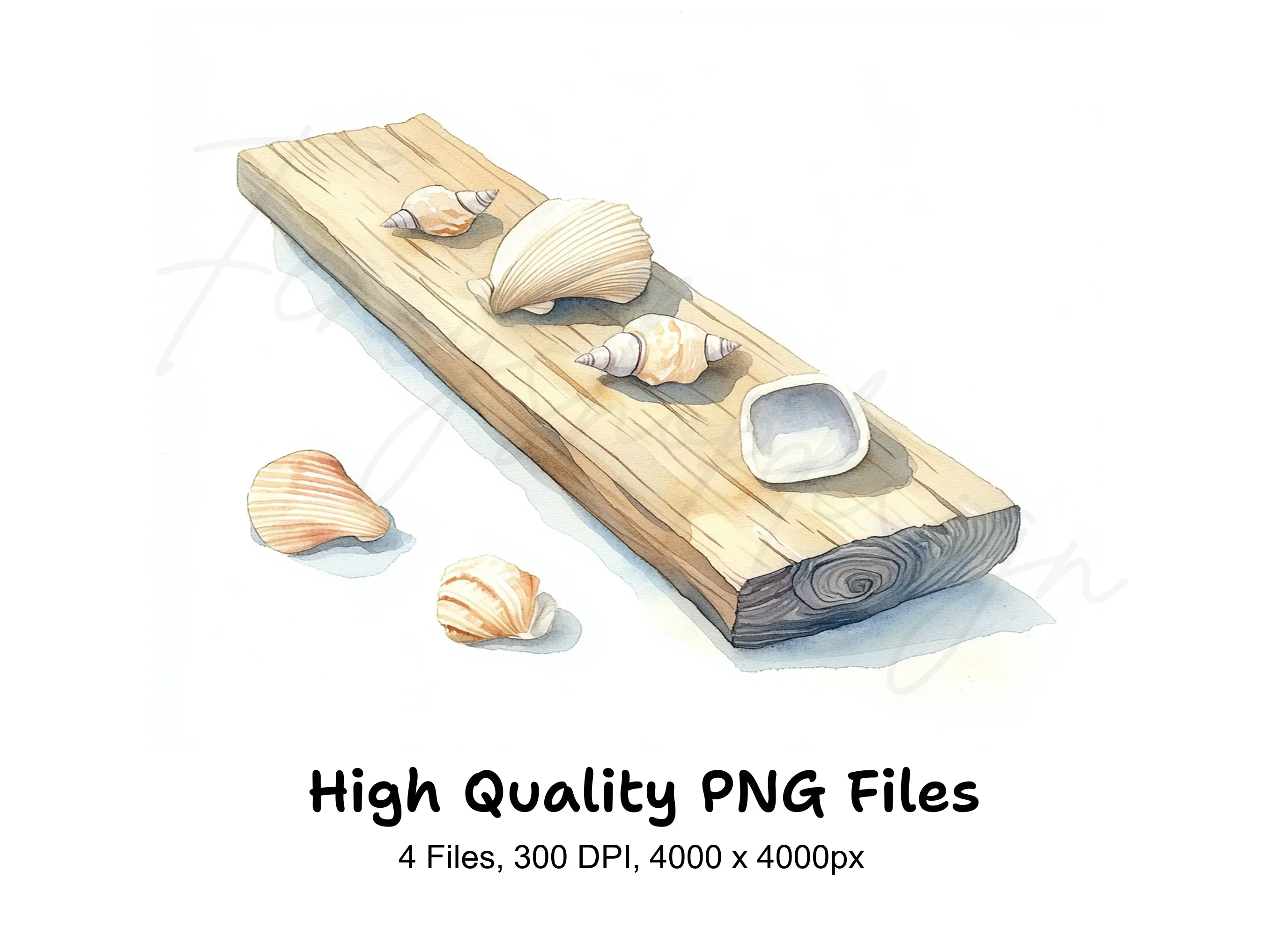 Seashells on Wooden Planks Clipart Bundle