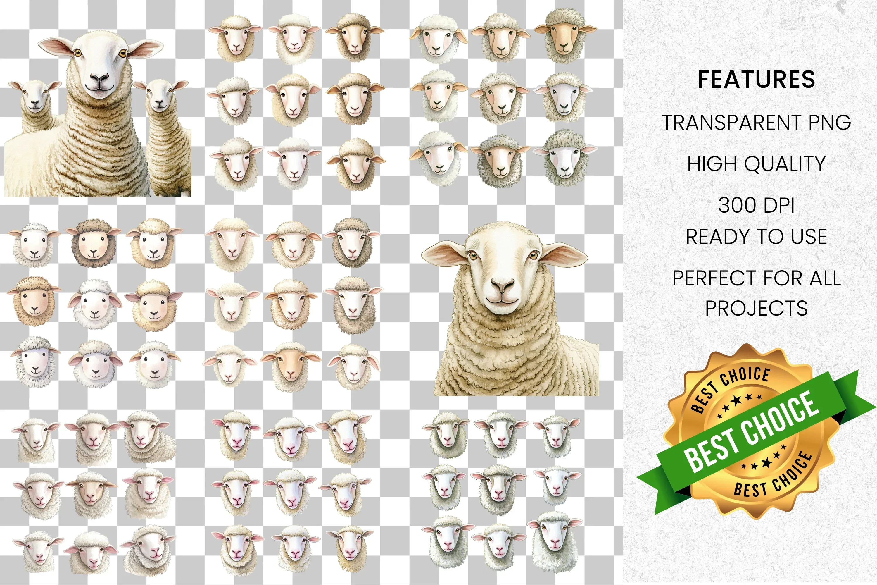 Sheep Clipart Bundle - Image 8