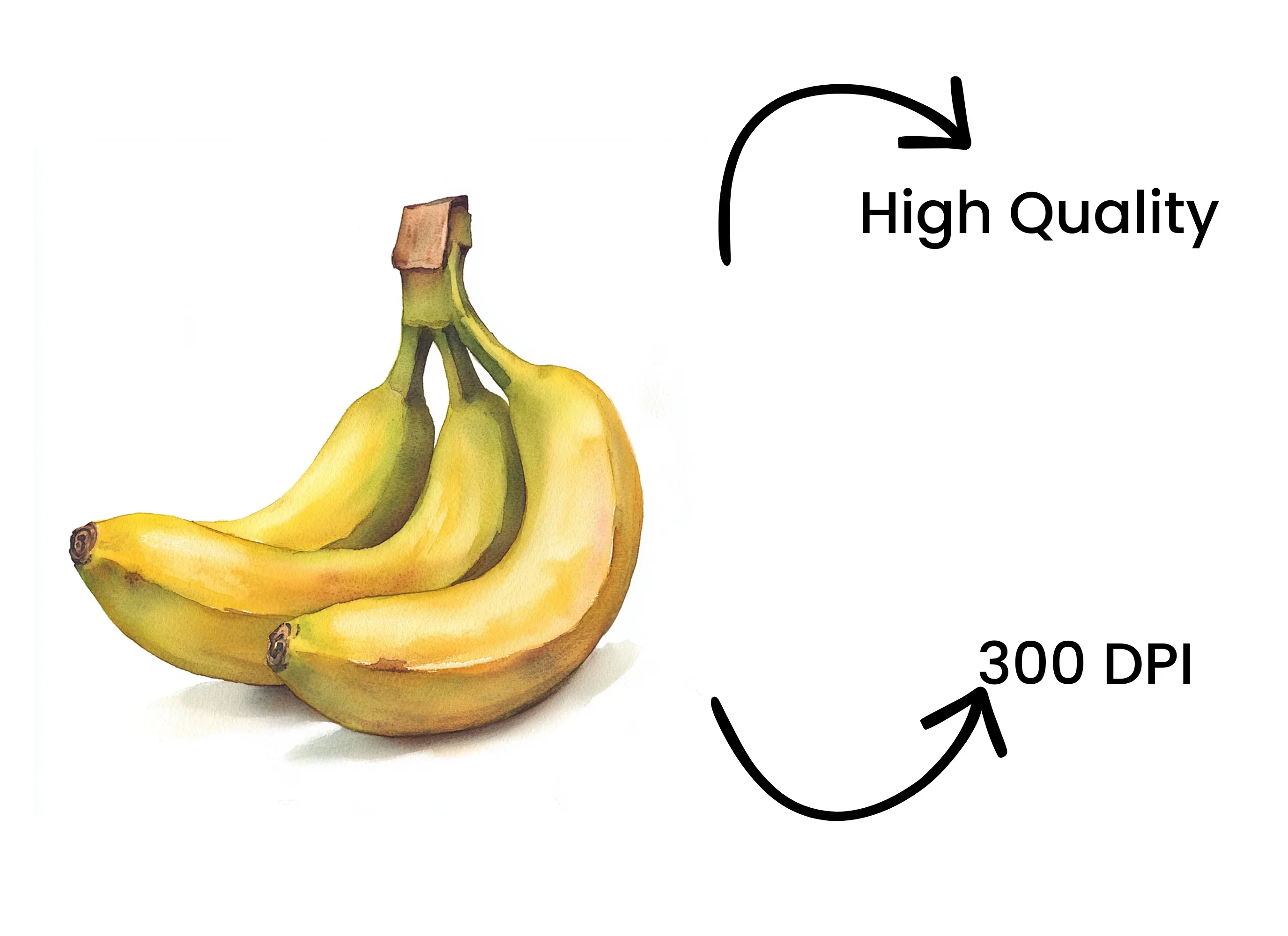Single Bunch Bananas Clipart Bundle - Image 4