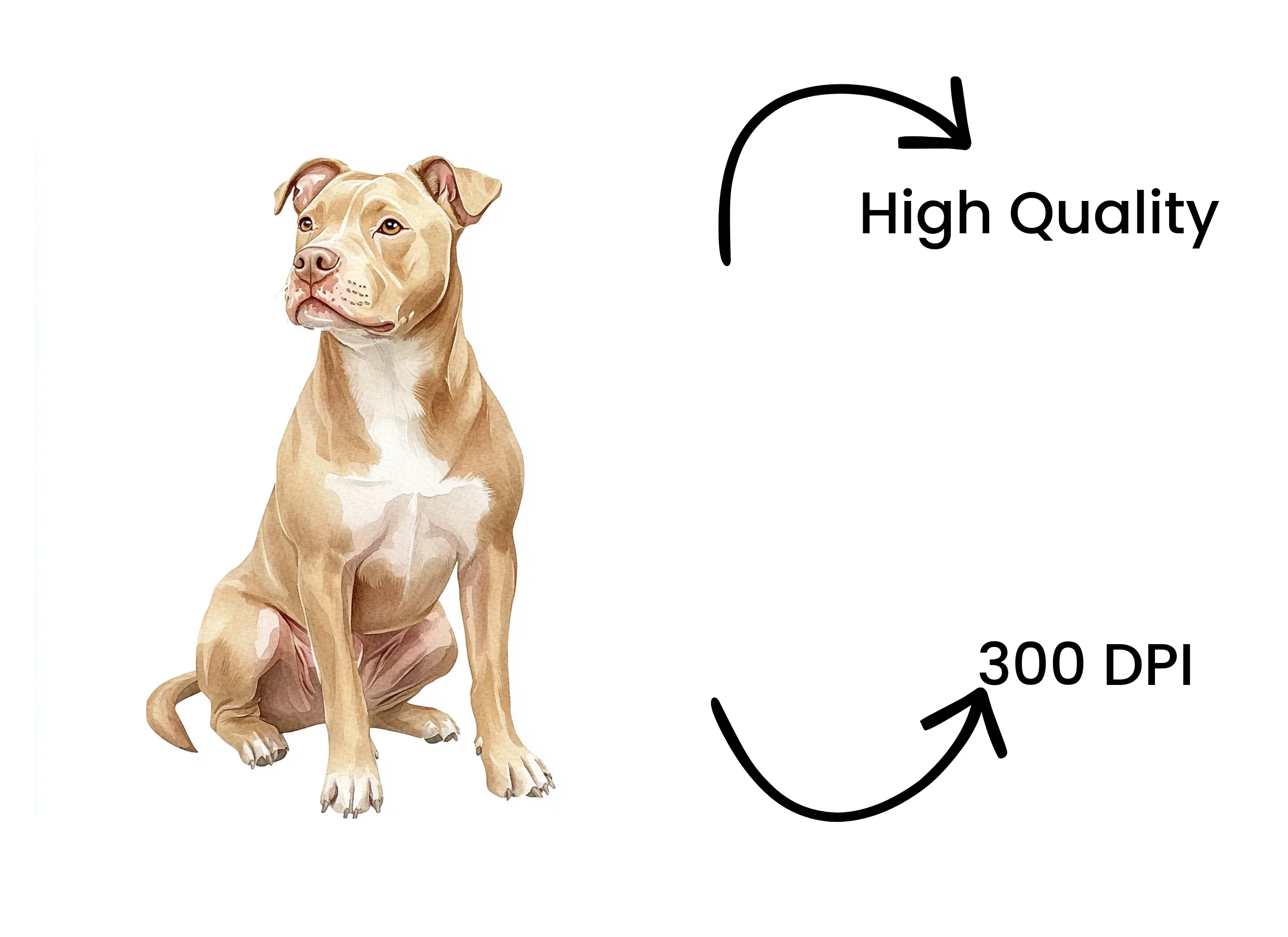 Sitting Pitbull Dog Clipart Bundle - Image 4