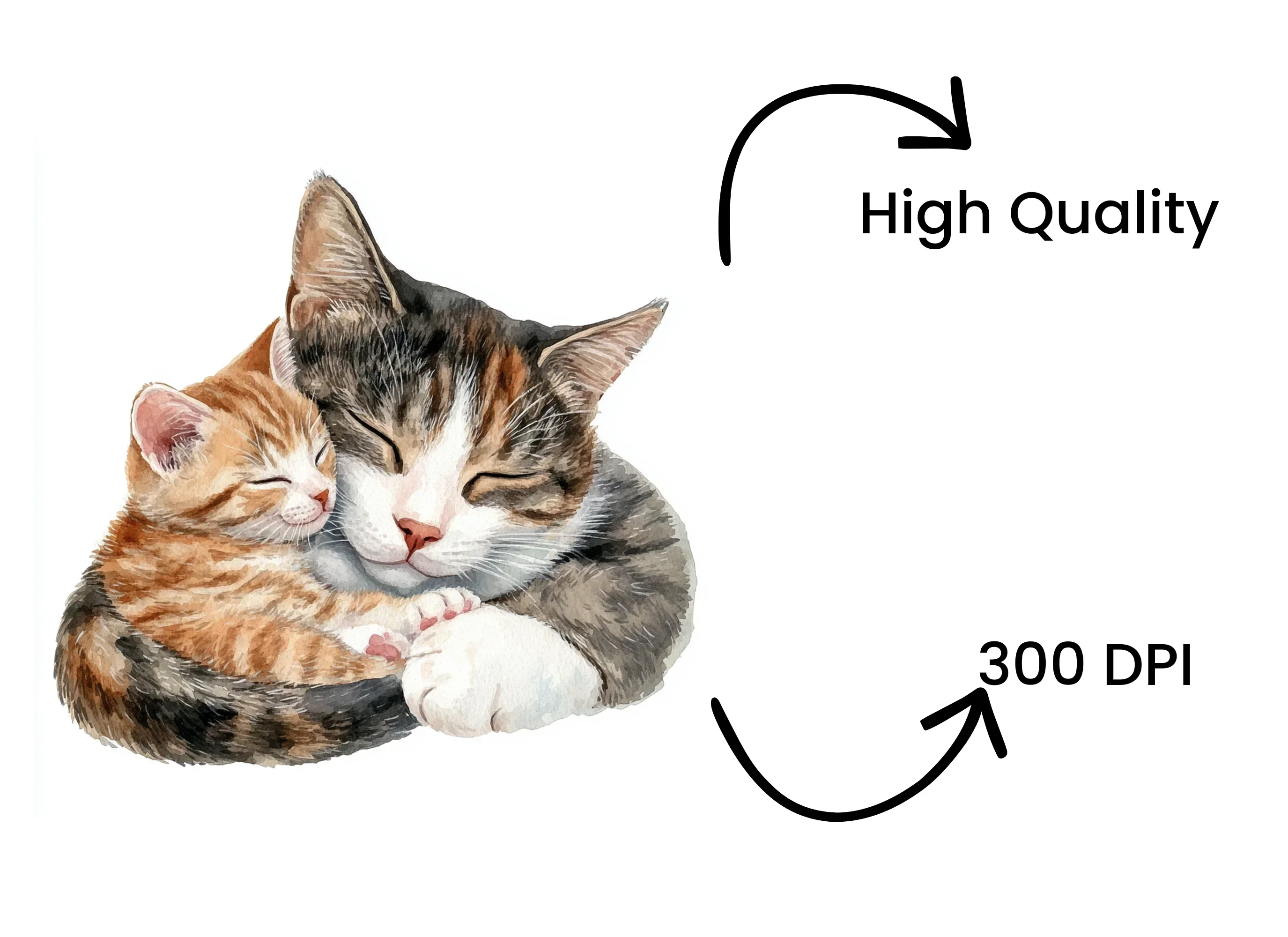 Sleeping Cats and Kittens Clipart Bundle - Image 4