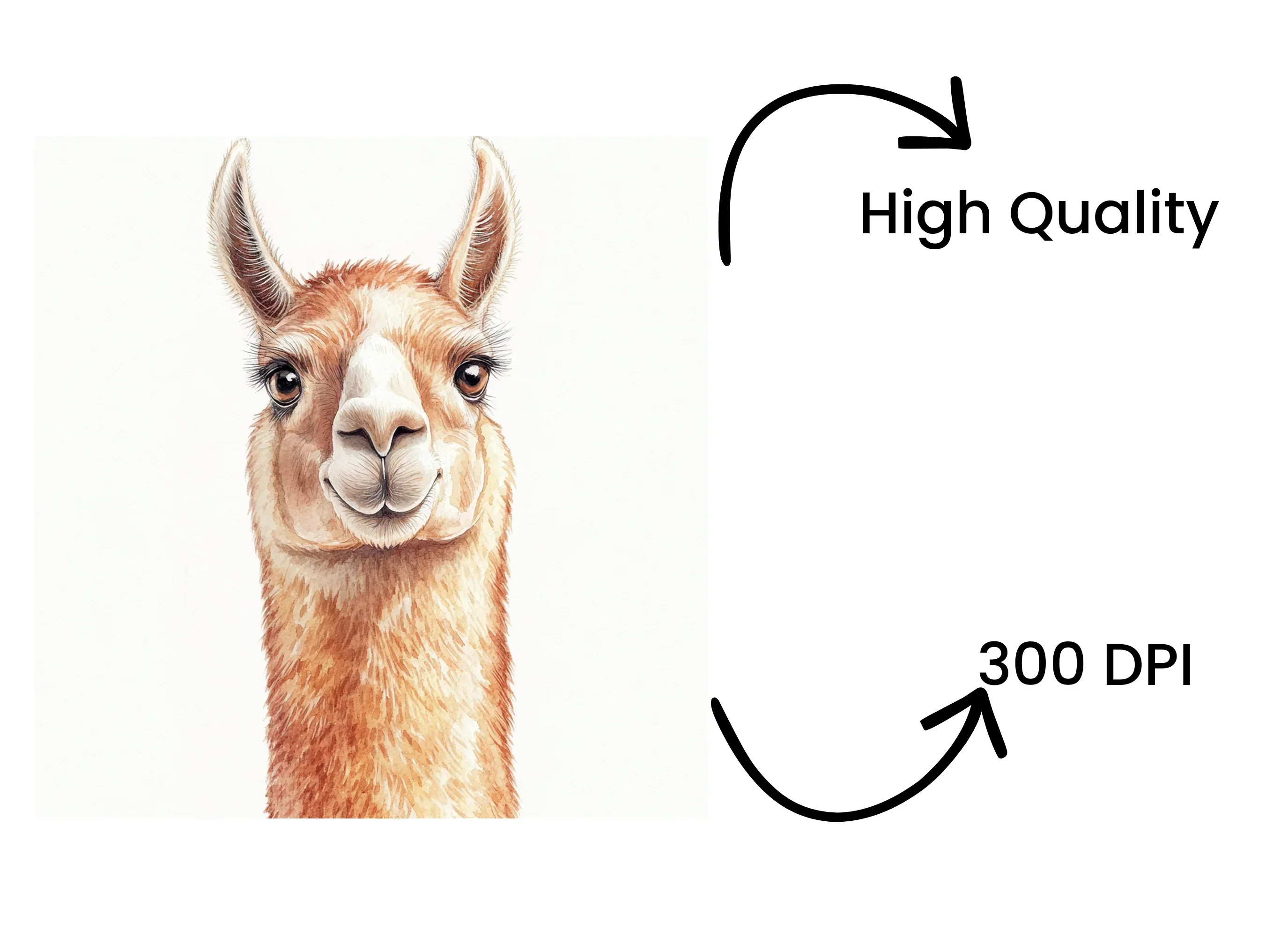 Smiling Llama Head Clipart Bundle - Image 4