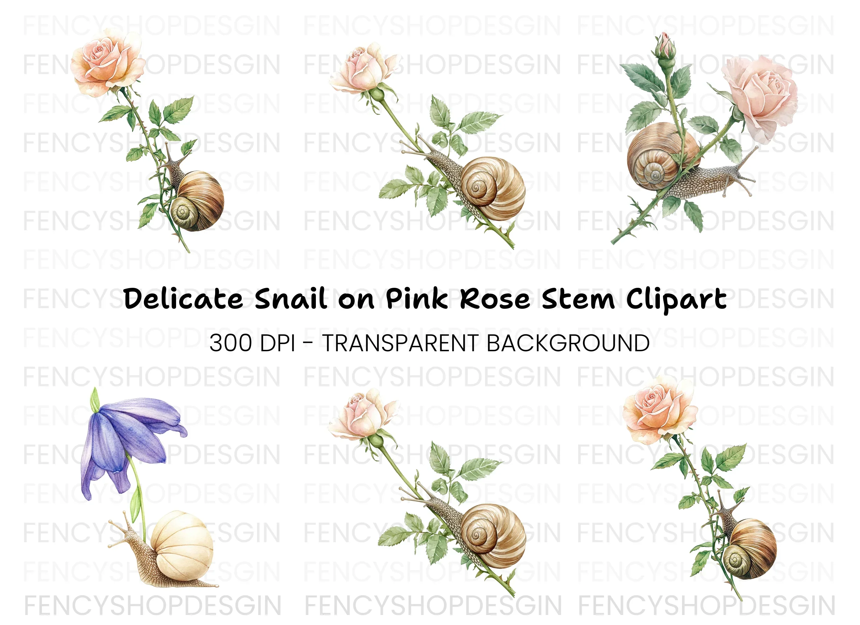 Snails and Flowers Clipart Bundle