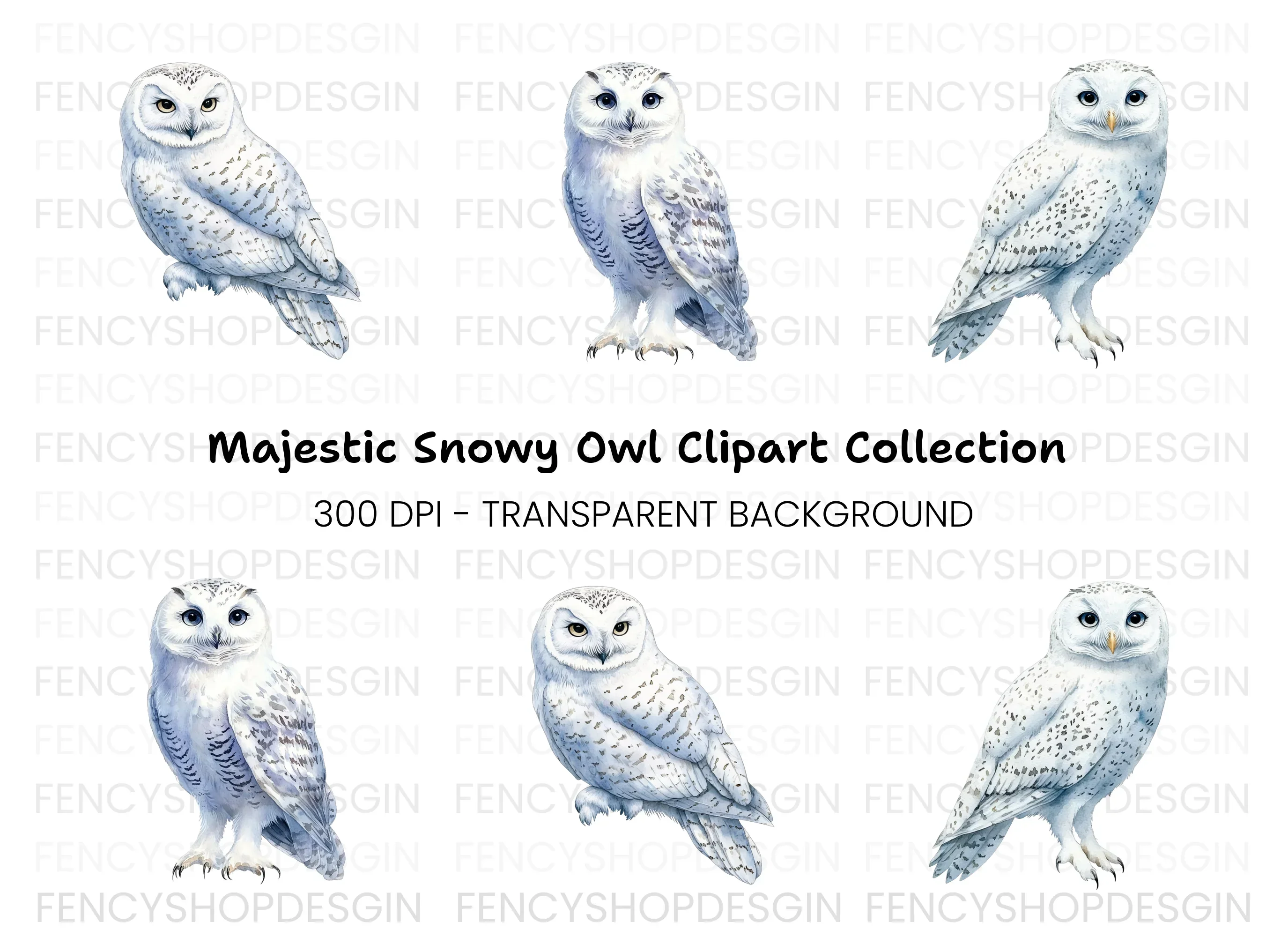 Snowy Owl Clipart Bundle