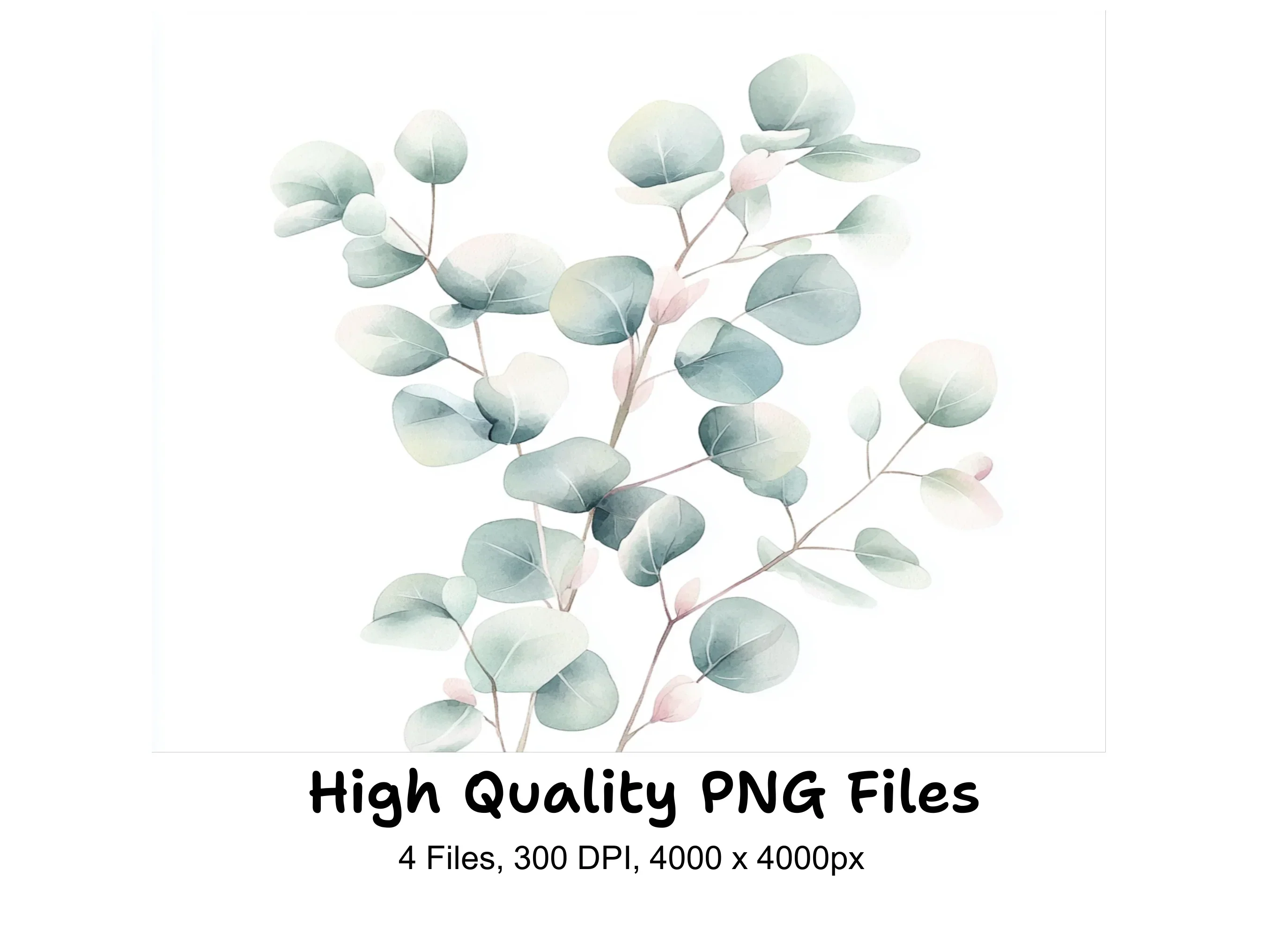 Soft Eucalyptus Leaves Clipart Bundle