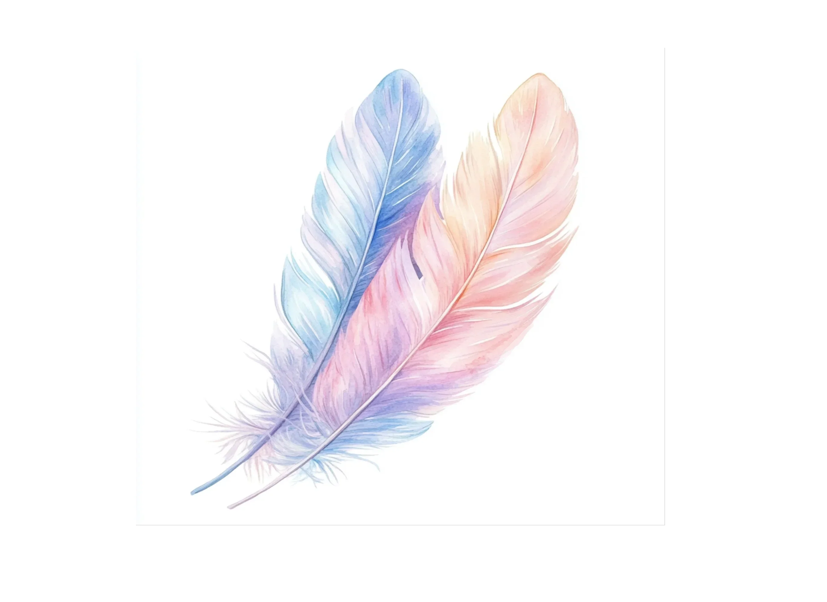 Soft Feather Arrangements Clipart Bundle - Image 3