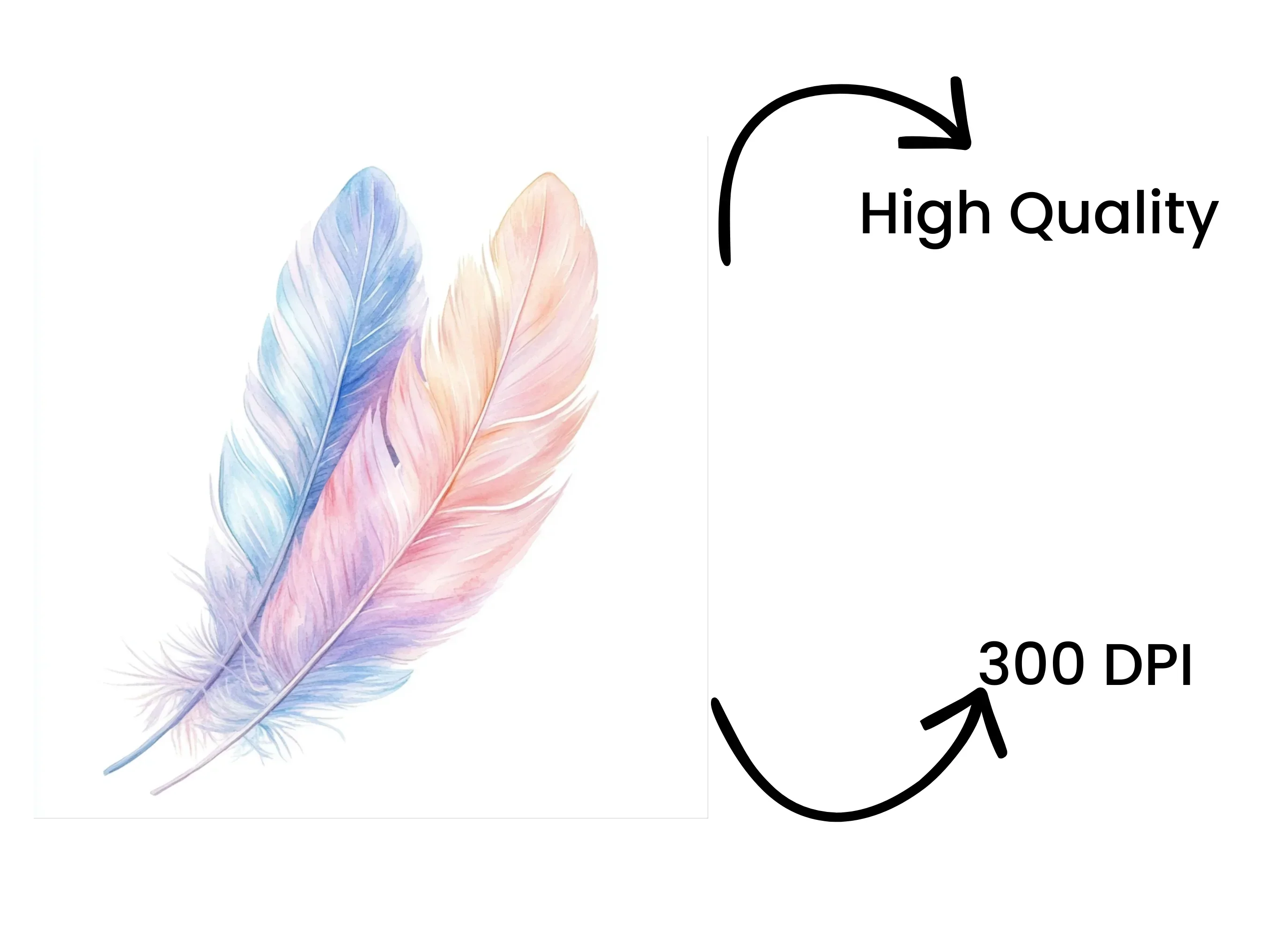 Soft Feather Arrangements Clipart Bundle - Image 4