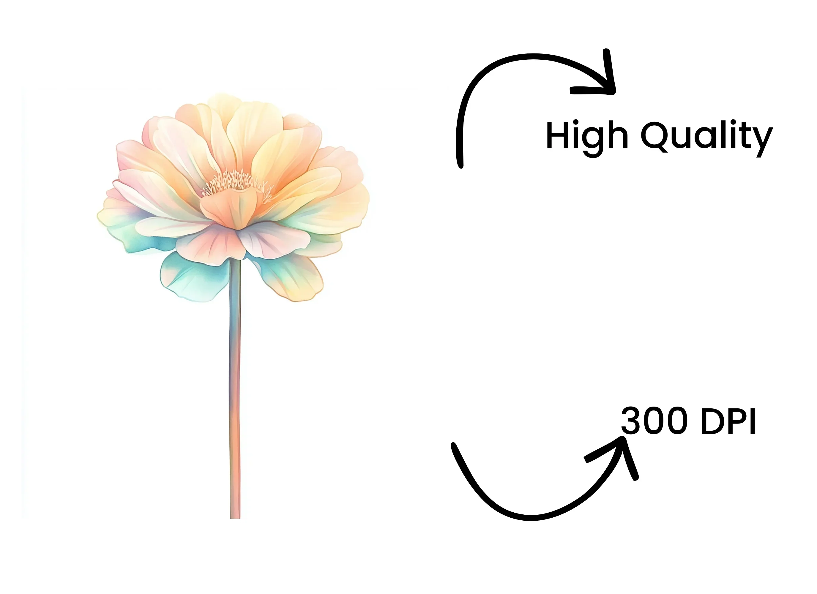 Soft Pastel Flowers Clipart Bundle - Image 4