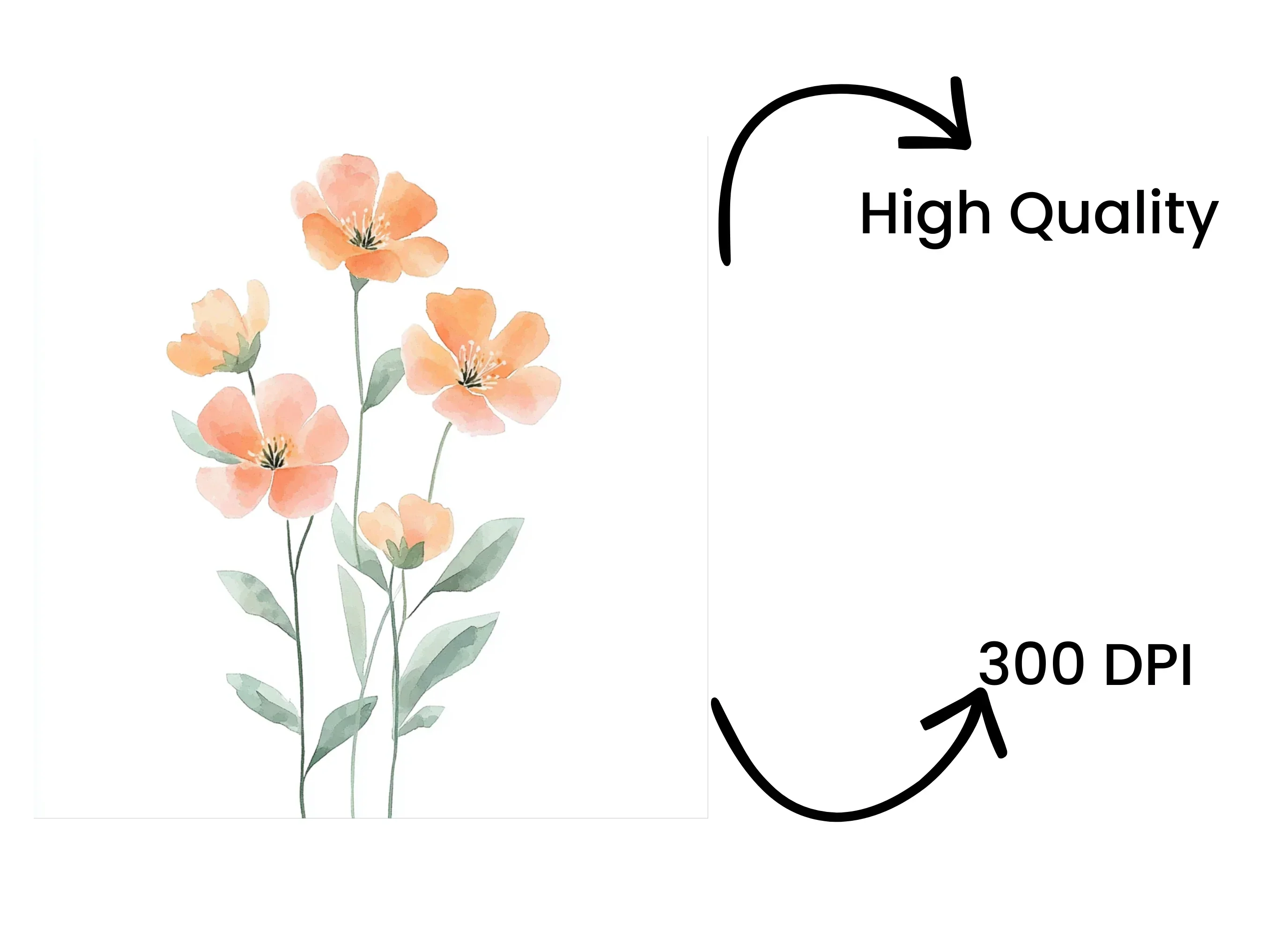 Soft Peach Flower Clipart Bundle - Image 4