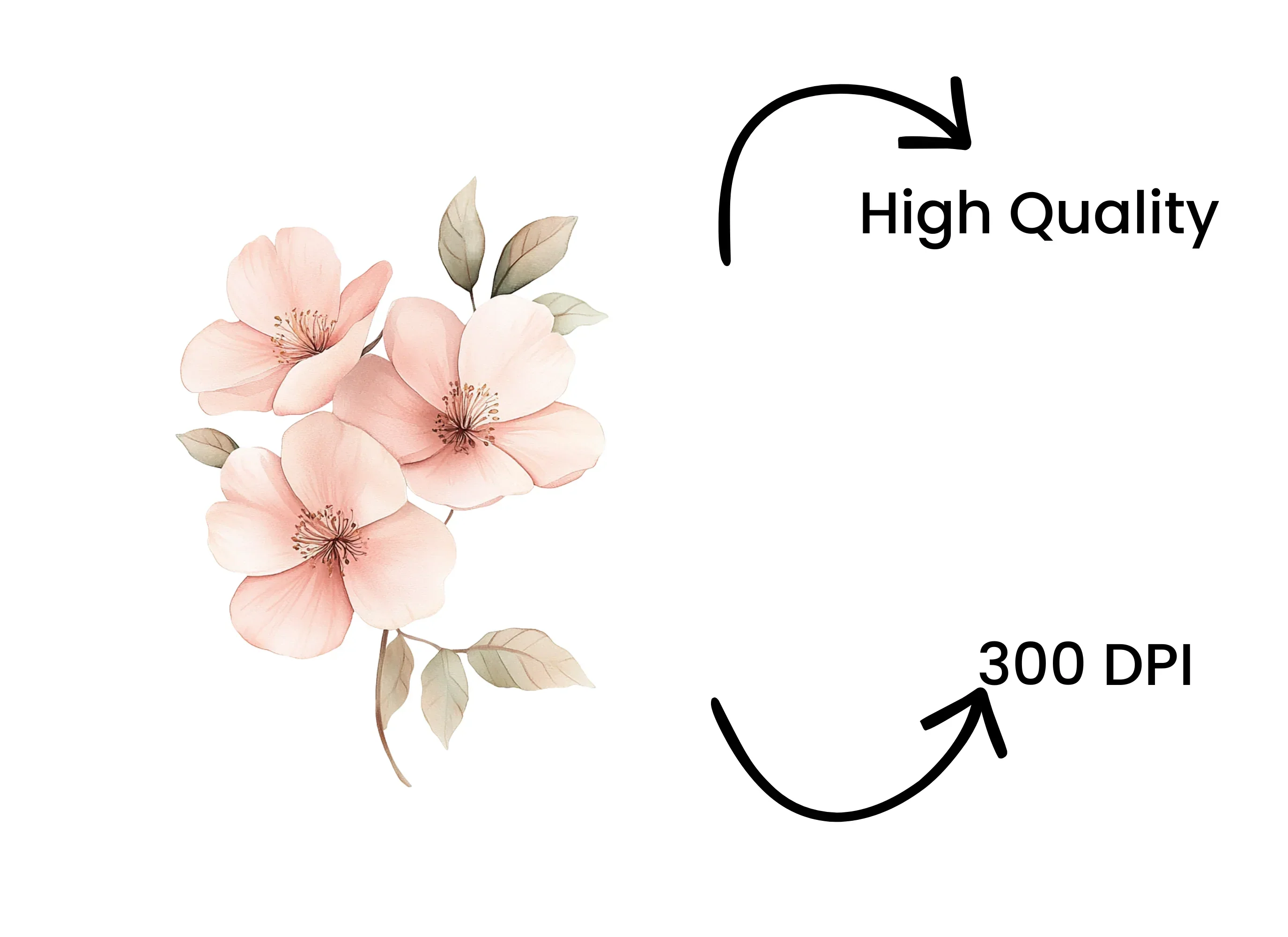 Soft Pink Floral Clipart Bundle - Image 4