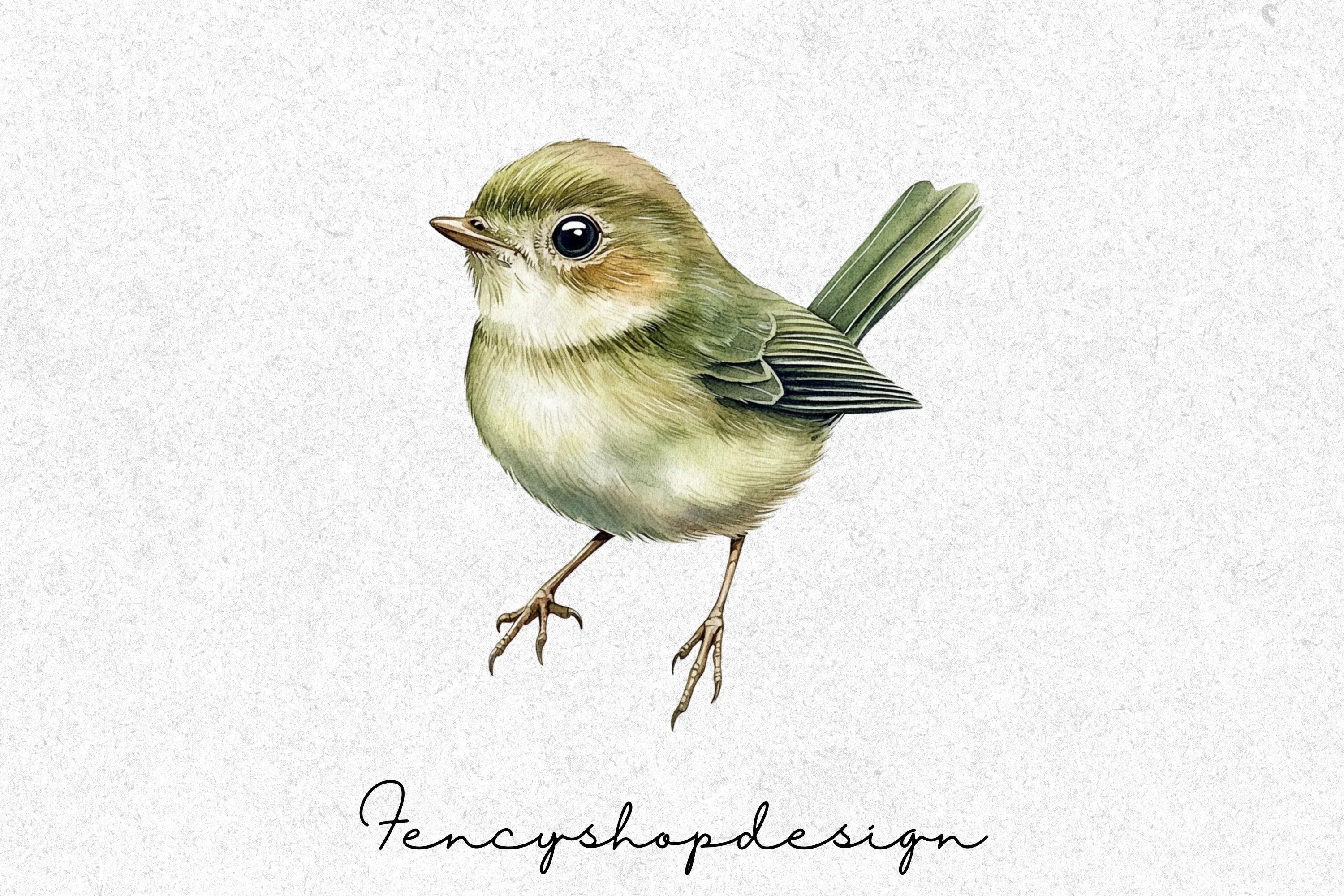 Songbirds Clipart Bundle - Image 5