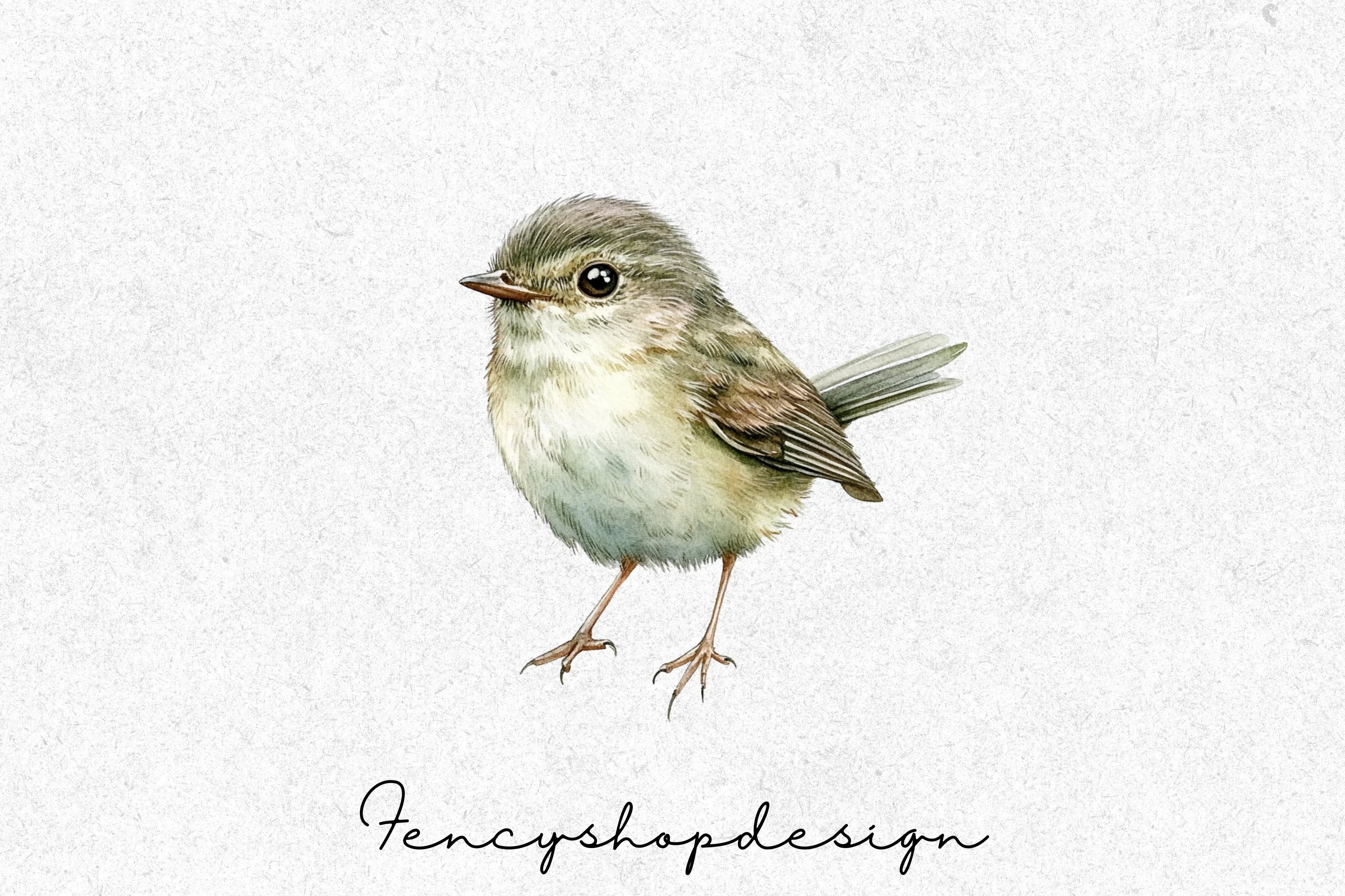 Songbirds Clipart Bundle - Image 6