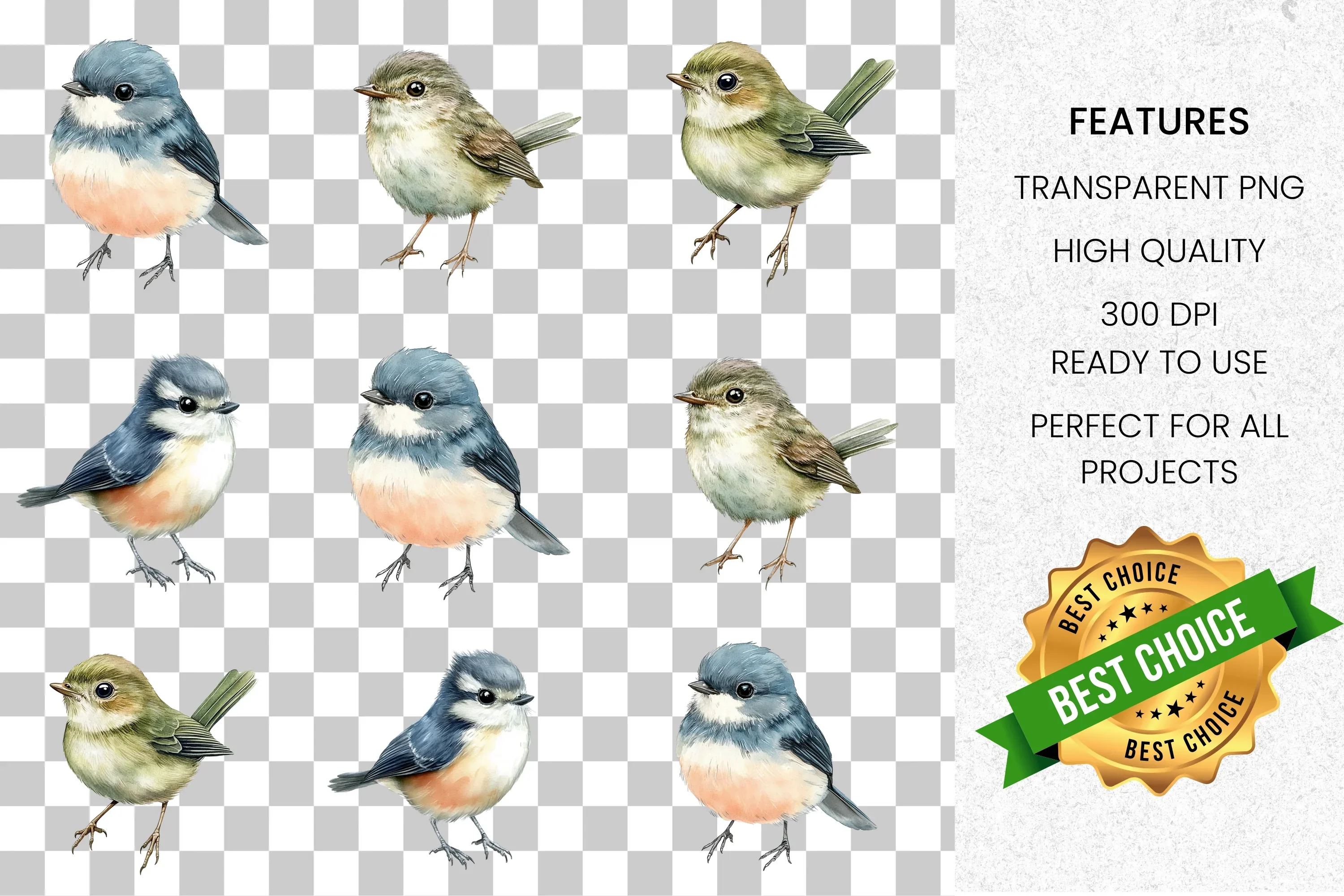 Songbirds Clipart Bundle - Image 7