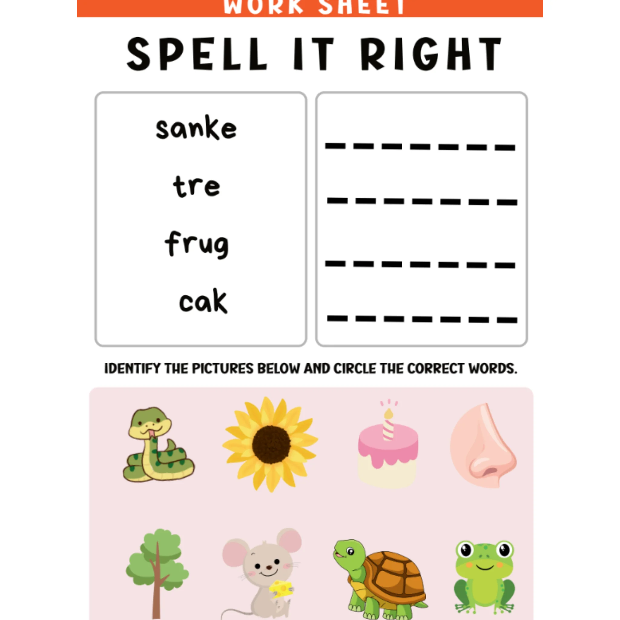 Spell It Right Picture Spelling Worksheets - Image 2