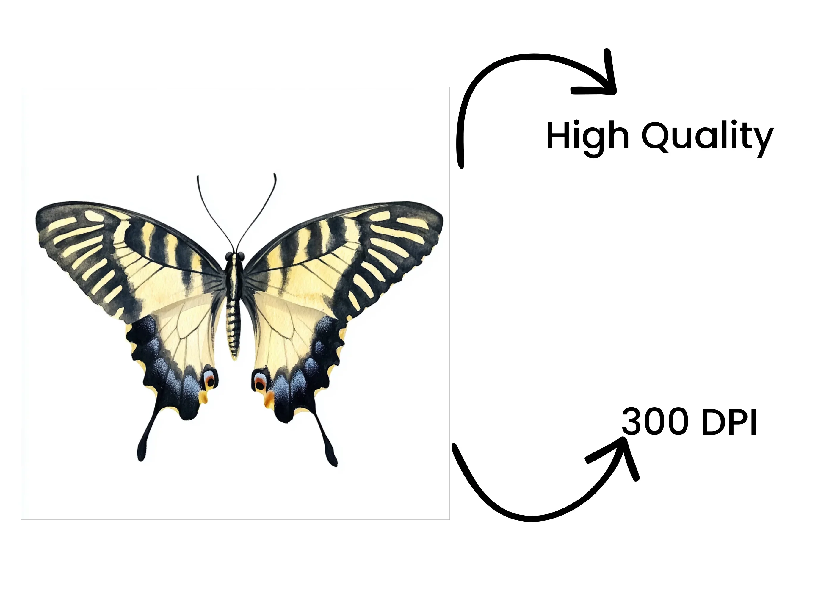 Striped Swallowtail Butterfly Clipart Bundle - Image 4