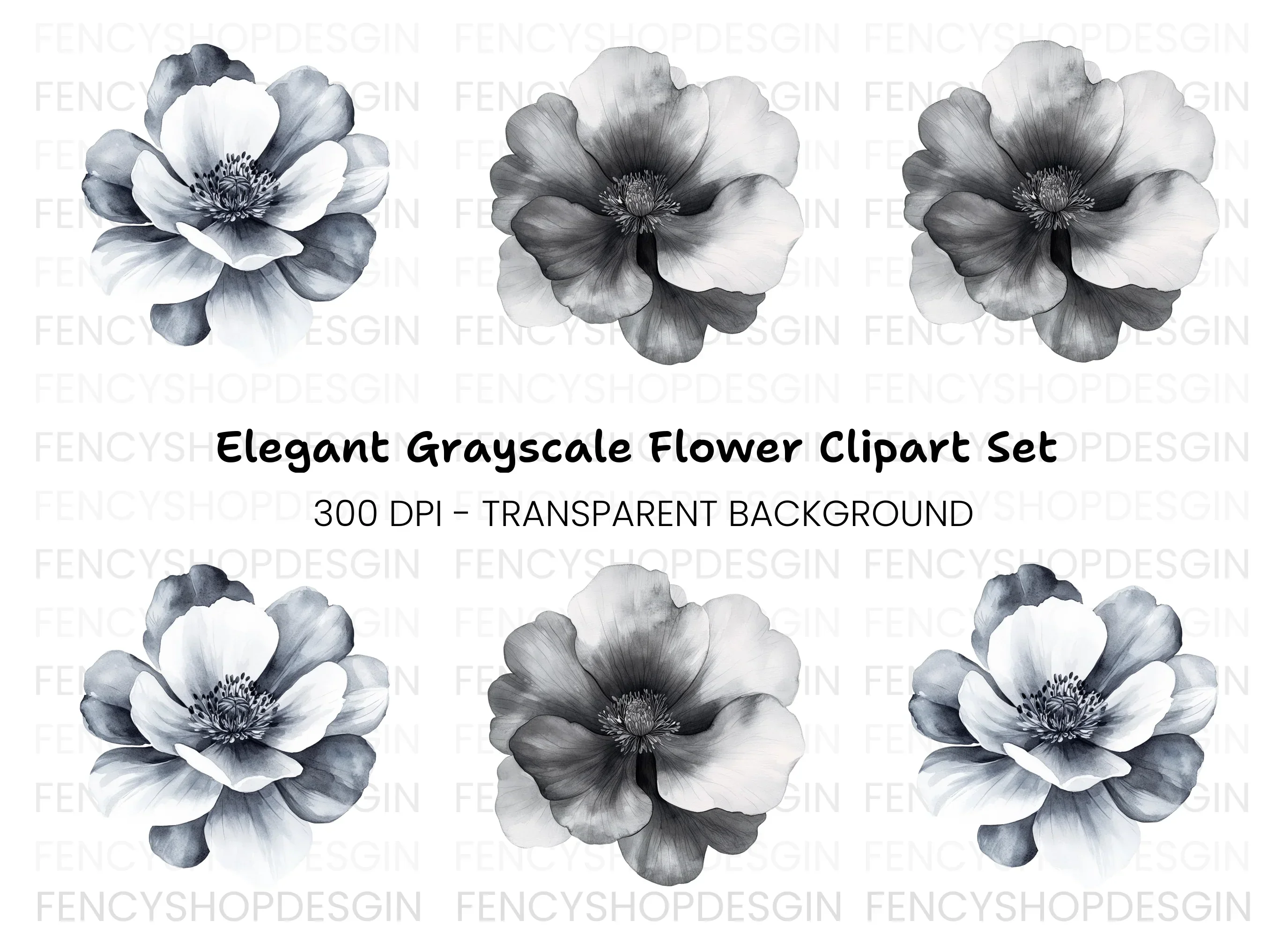Stunning Monochrome Peony Clipart Bundle