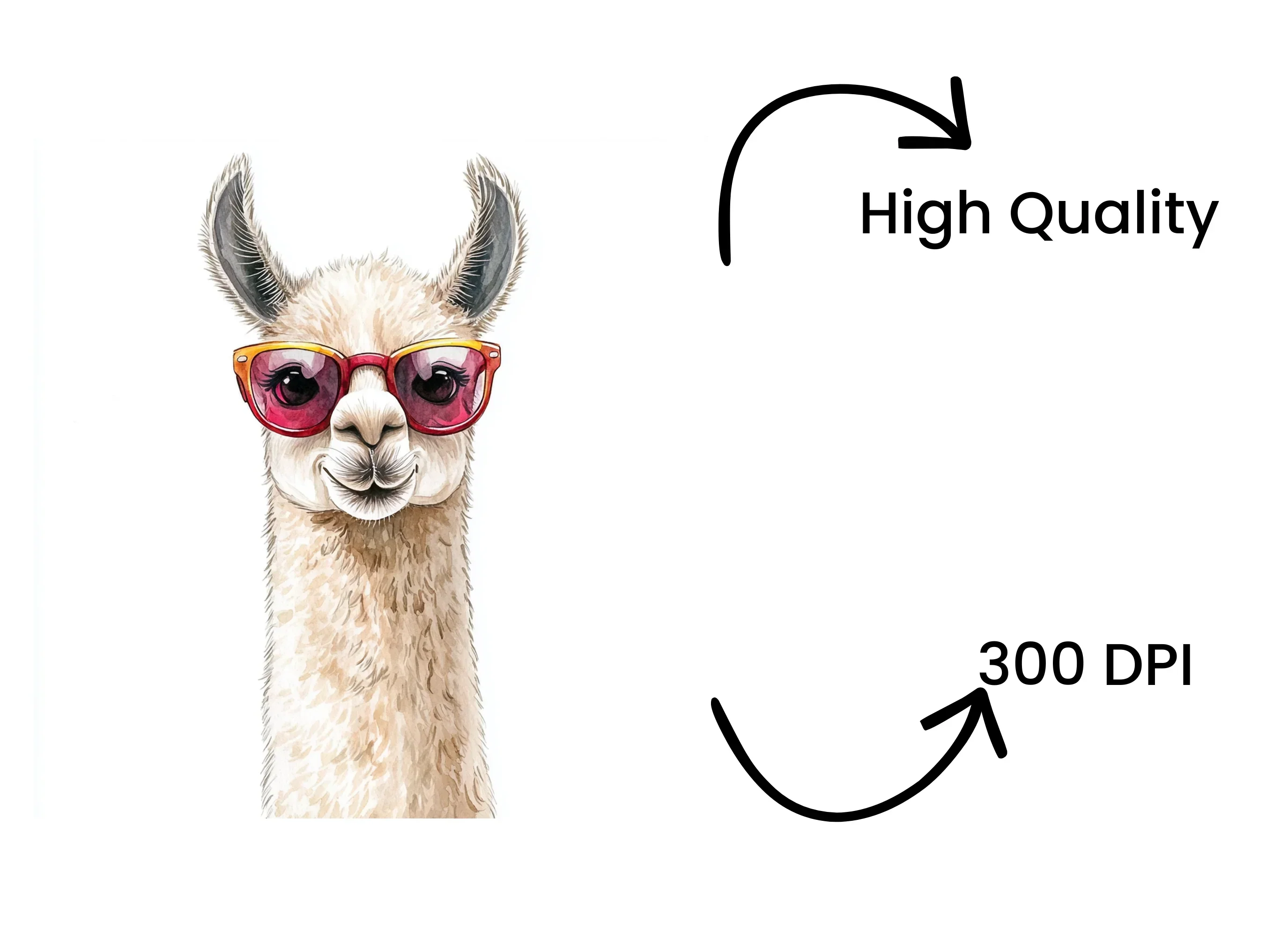 Stylish Llama Duo in Sunglasses Clipart Bundle - Image 4