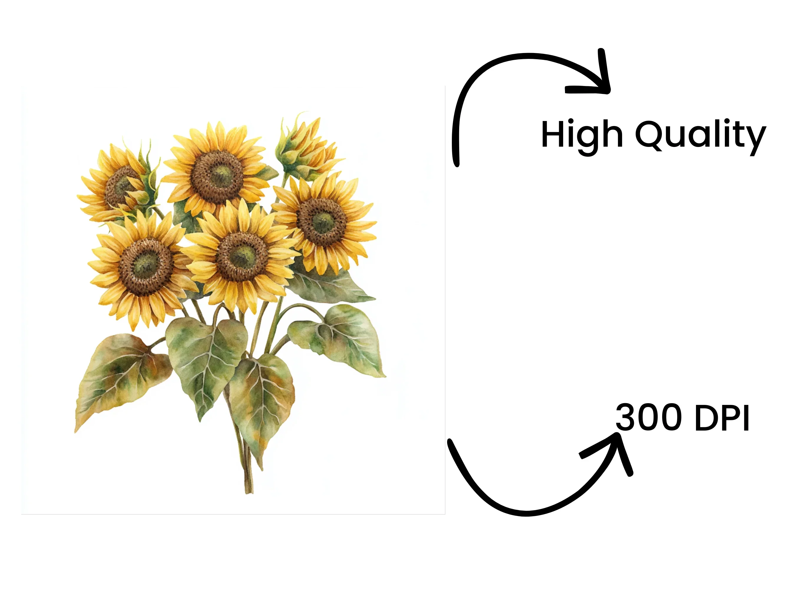Sunflower Bouquets Clipart Bundle - Image 4