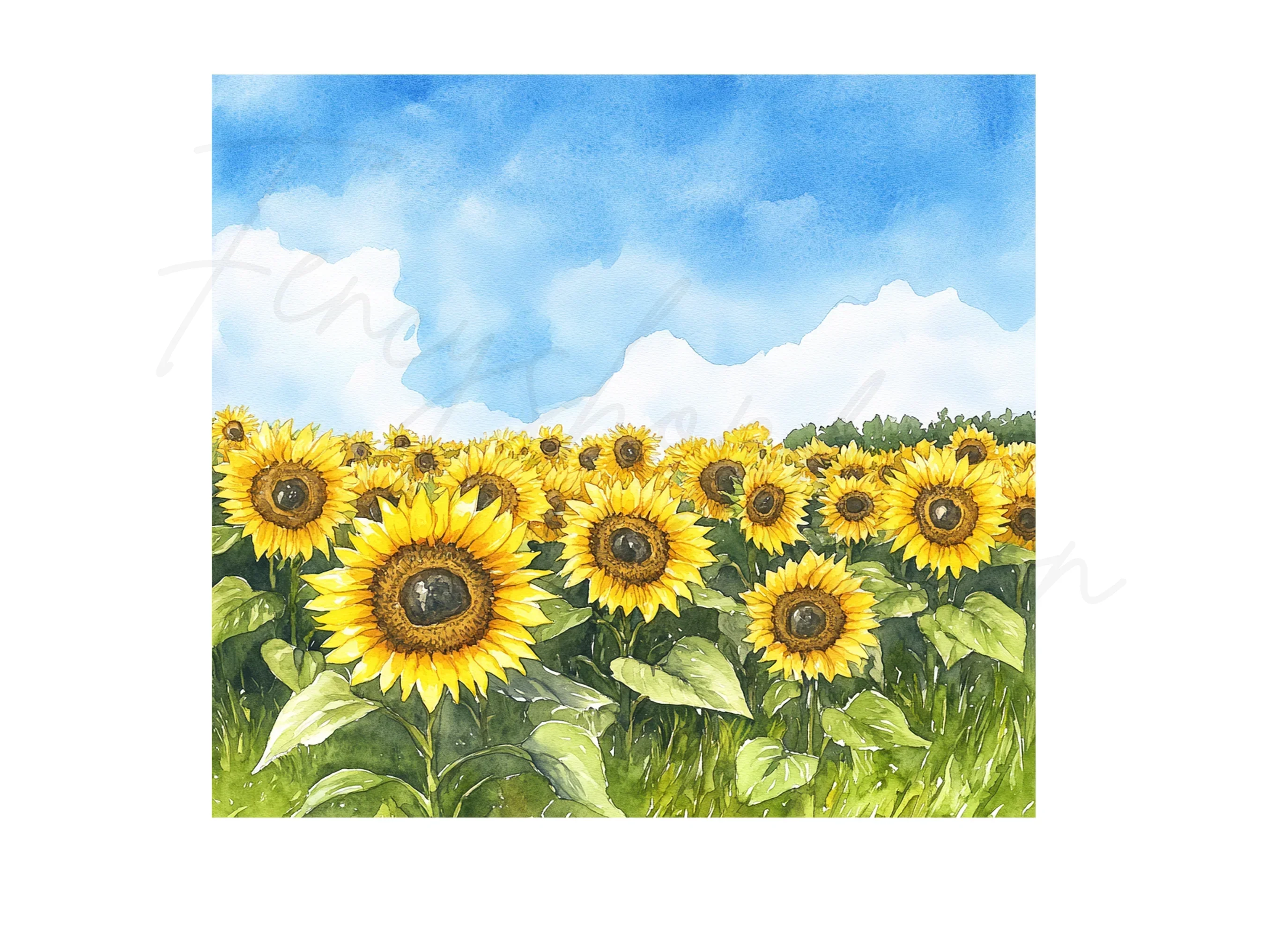 Sunflower Field Clipart Bundle - Image 2