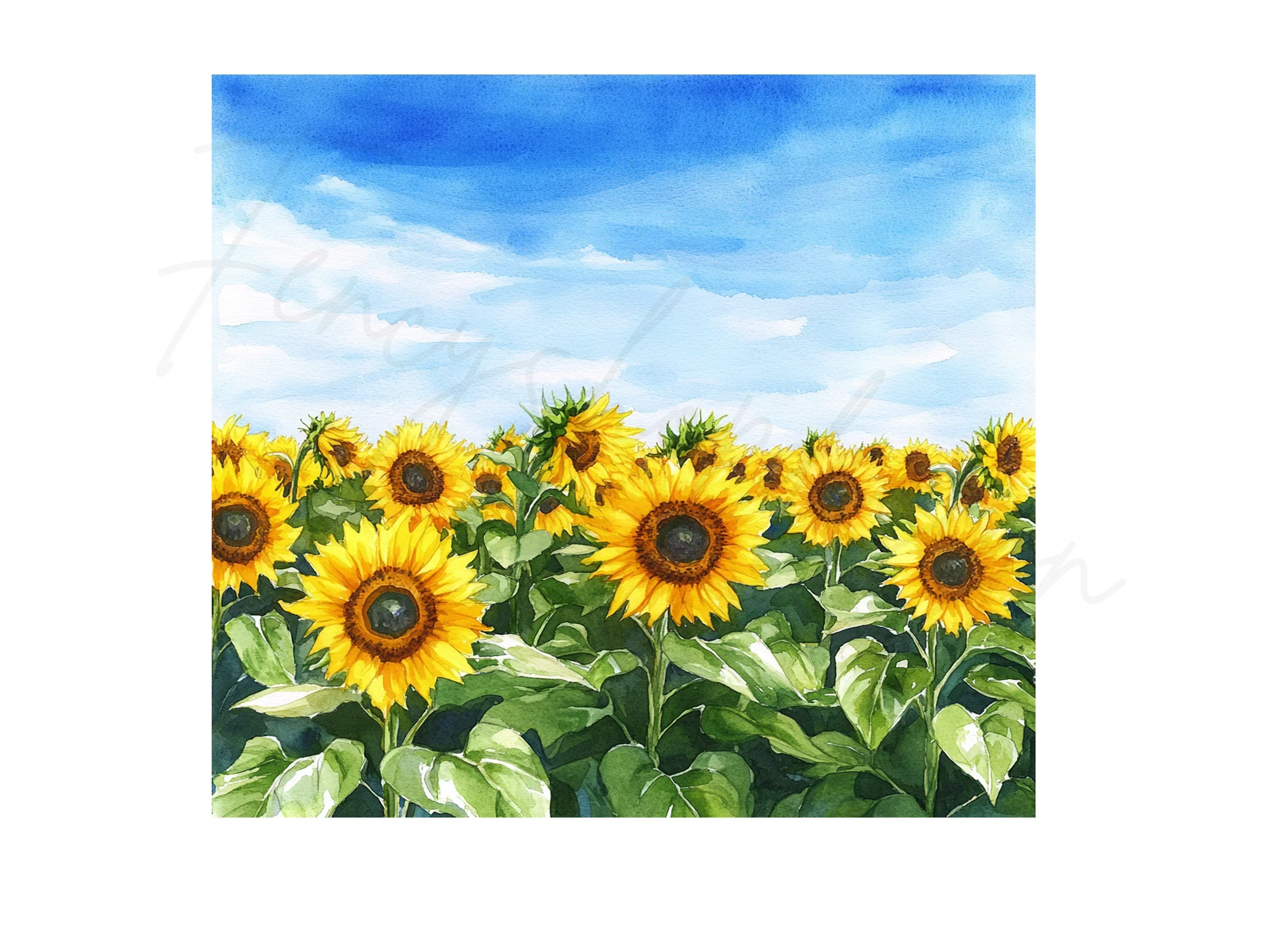 Sunflower Field Clipart Bundle - Image 3