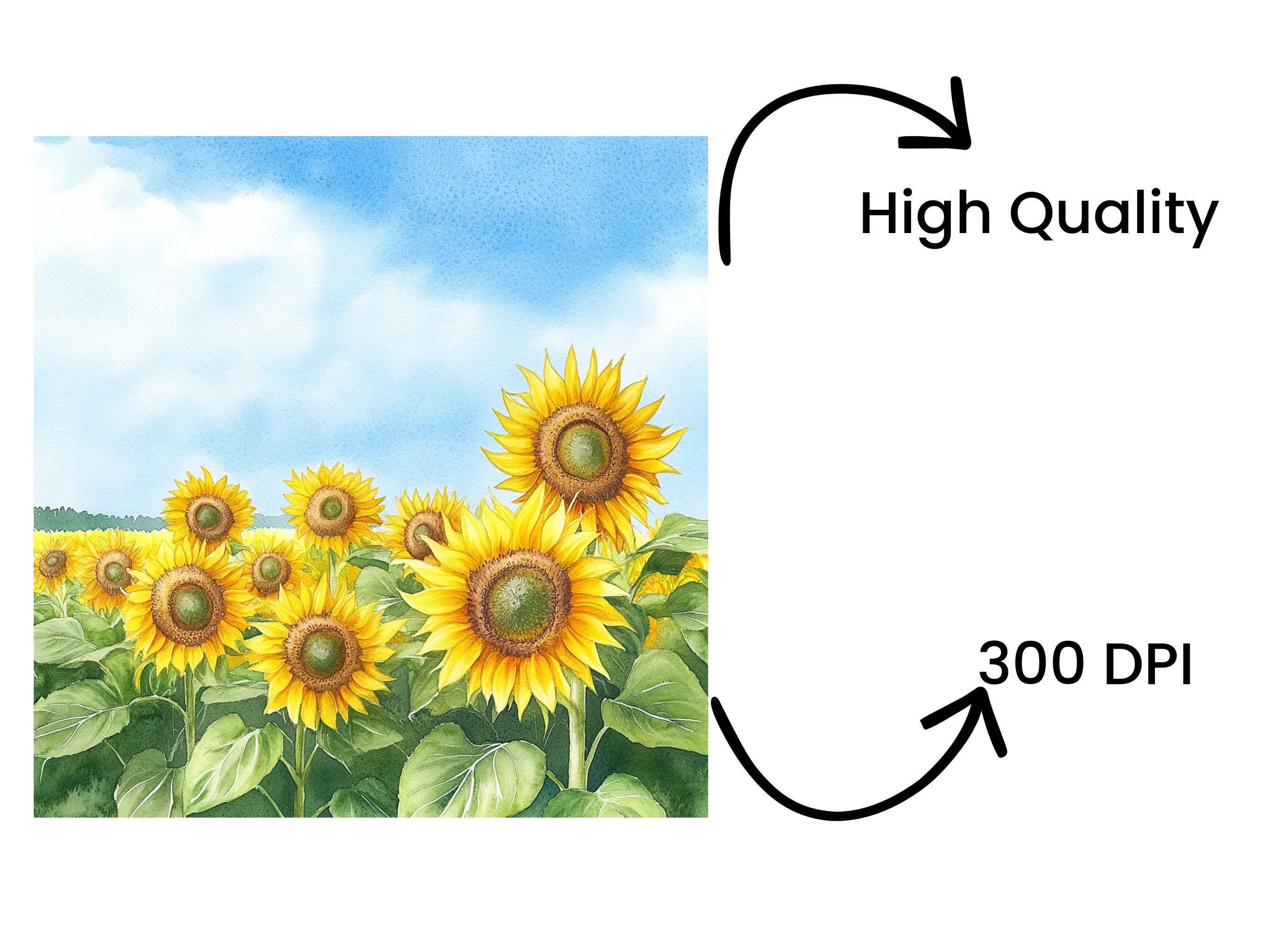 Sunflower Field Clipart Bundle - Image 4