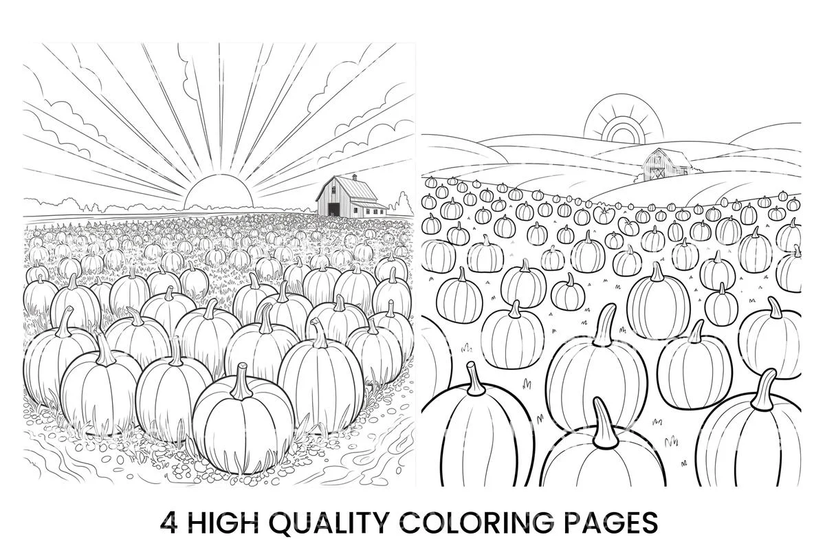Sunrise Over Pumpkin Field Coloring Books