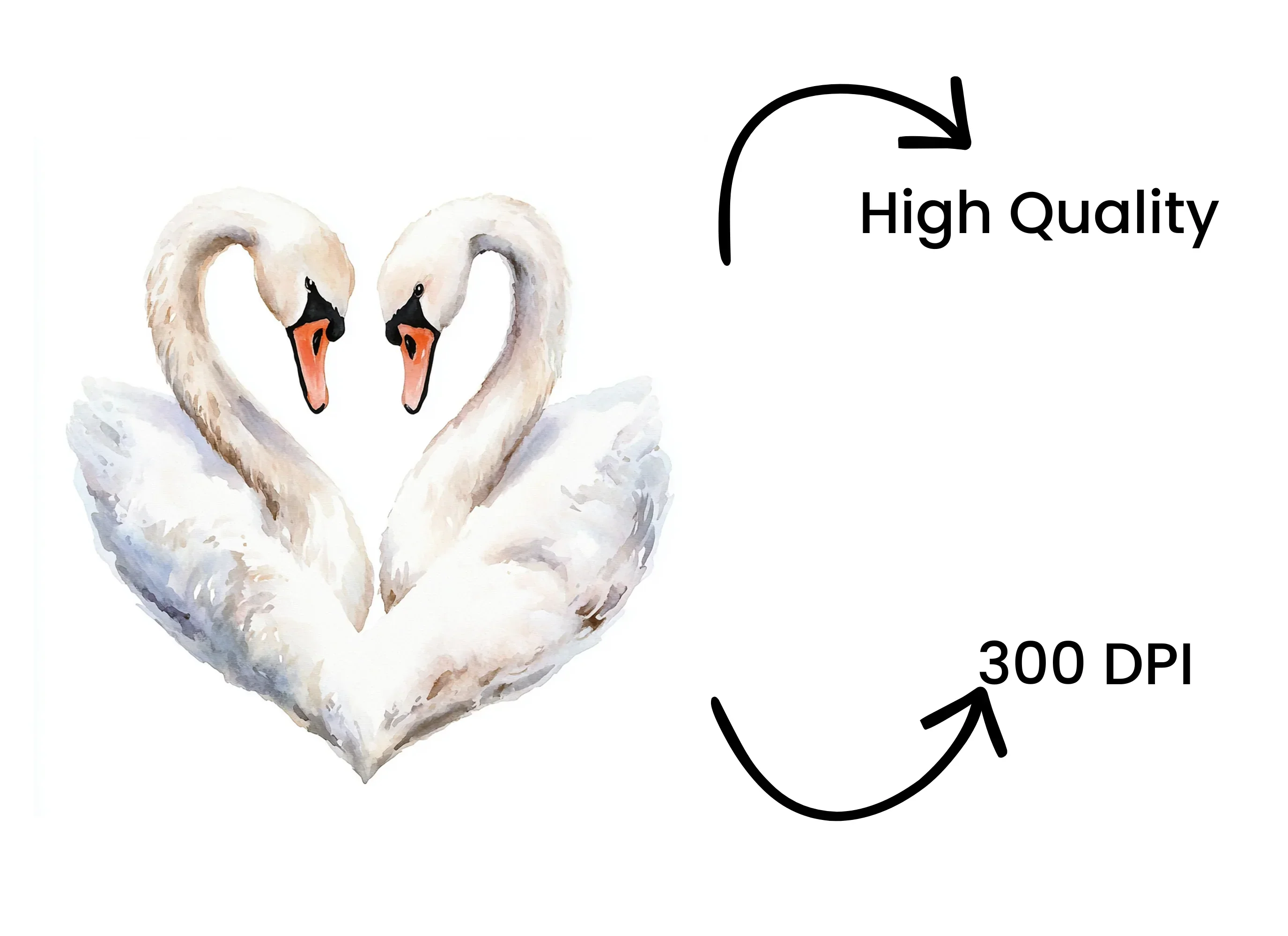 Swan Heart Clipart Bundle - Image 4