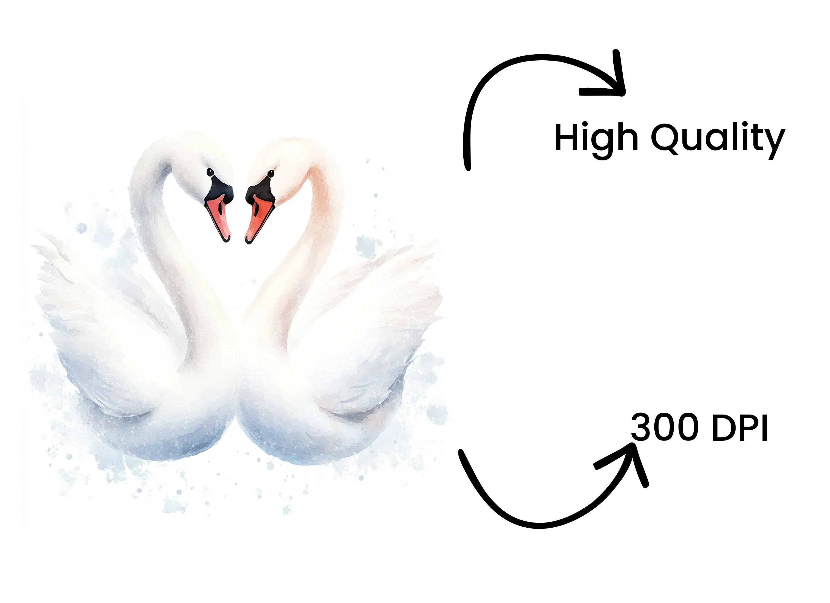 Swans Heart Clipart Bundle - Image 4