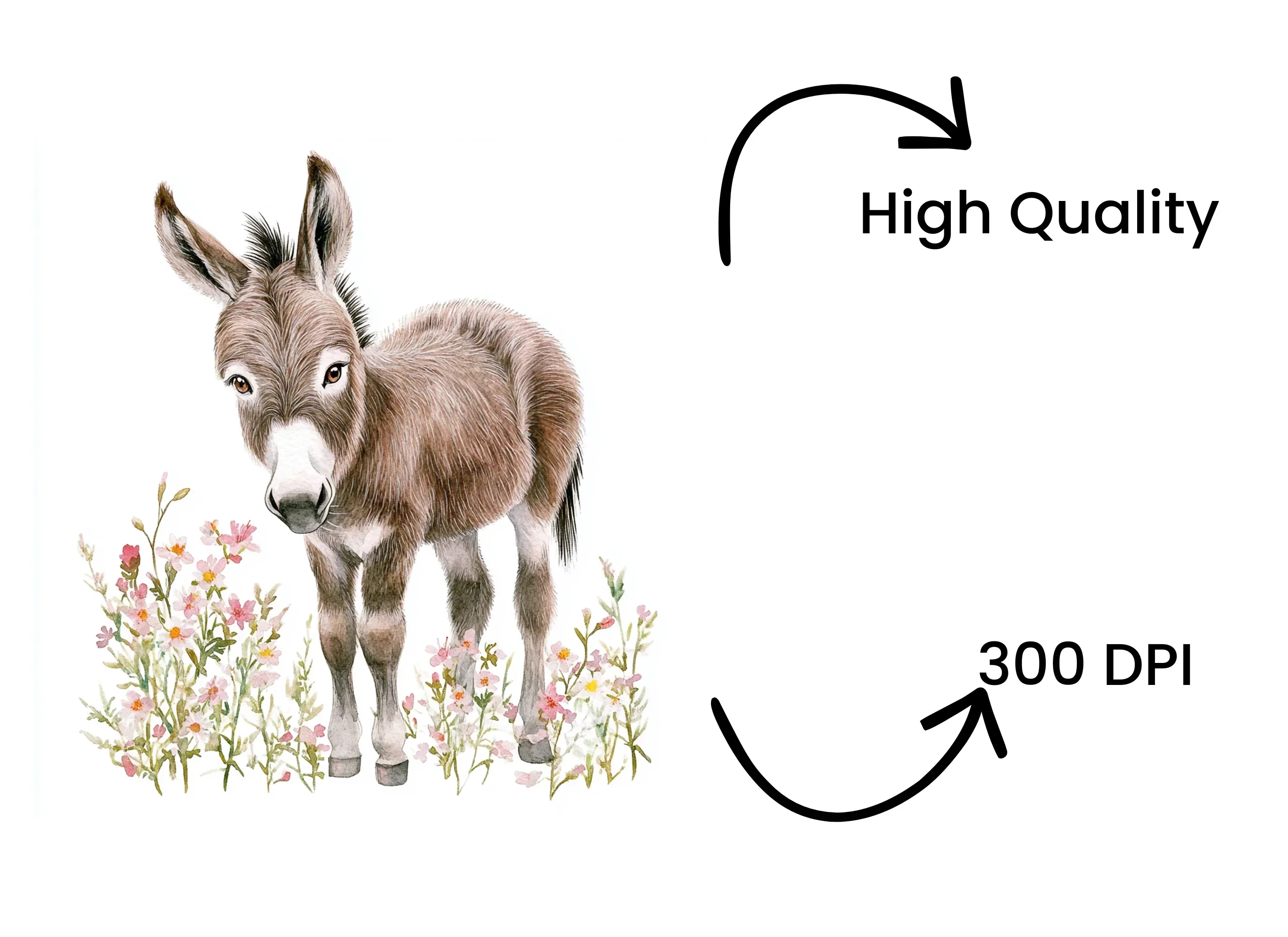 Sweet Baby Donkeys in Wildflower Fields Clipart Bundle - Image 4