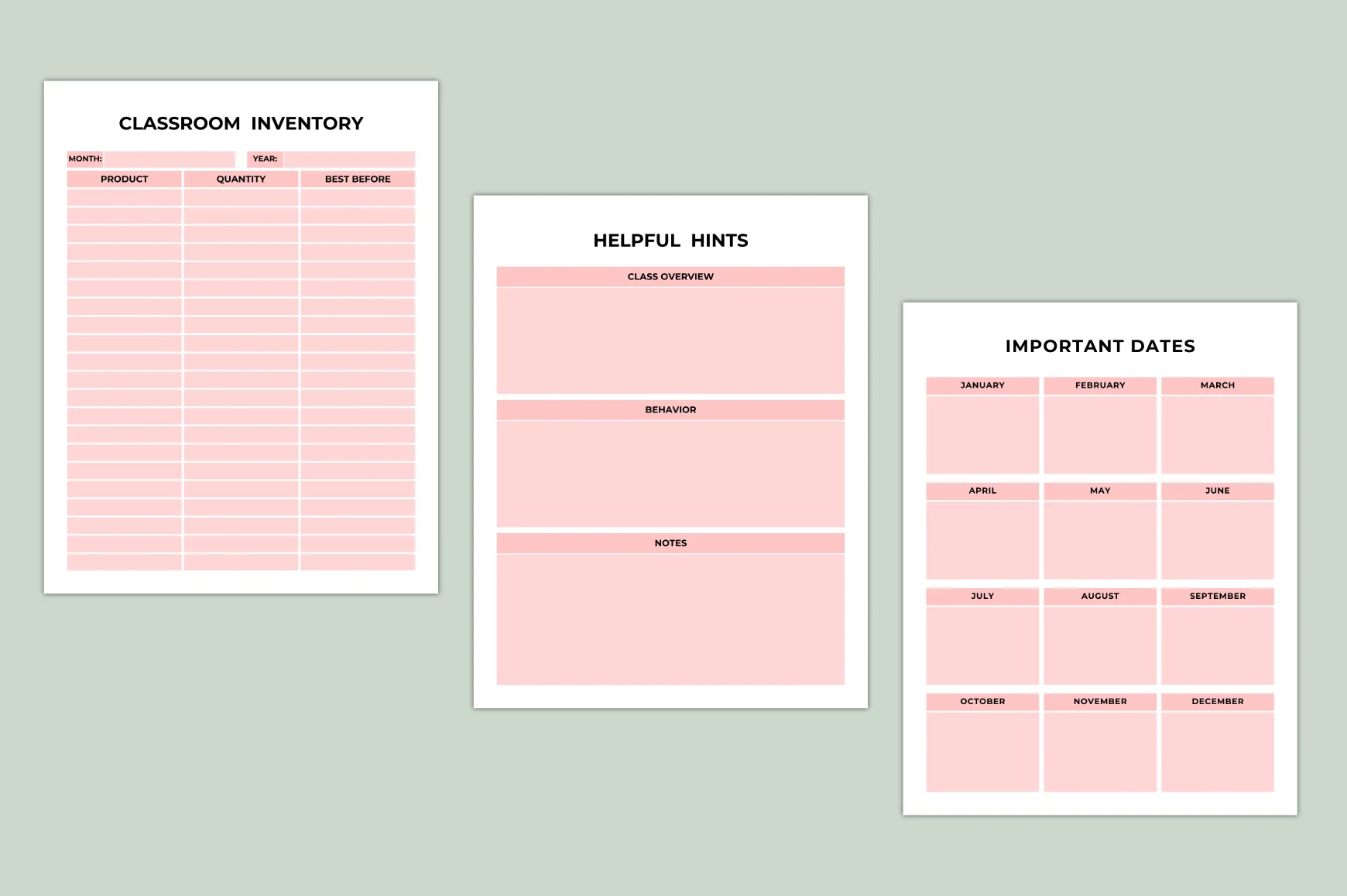 Teacher Success Planner - Image 2