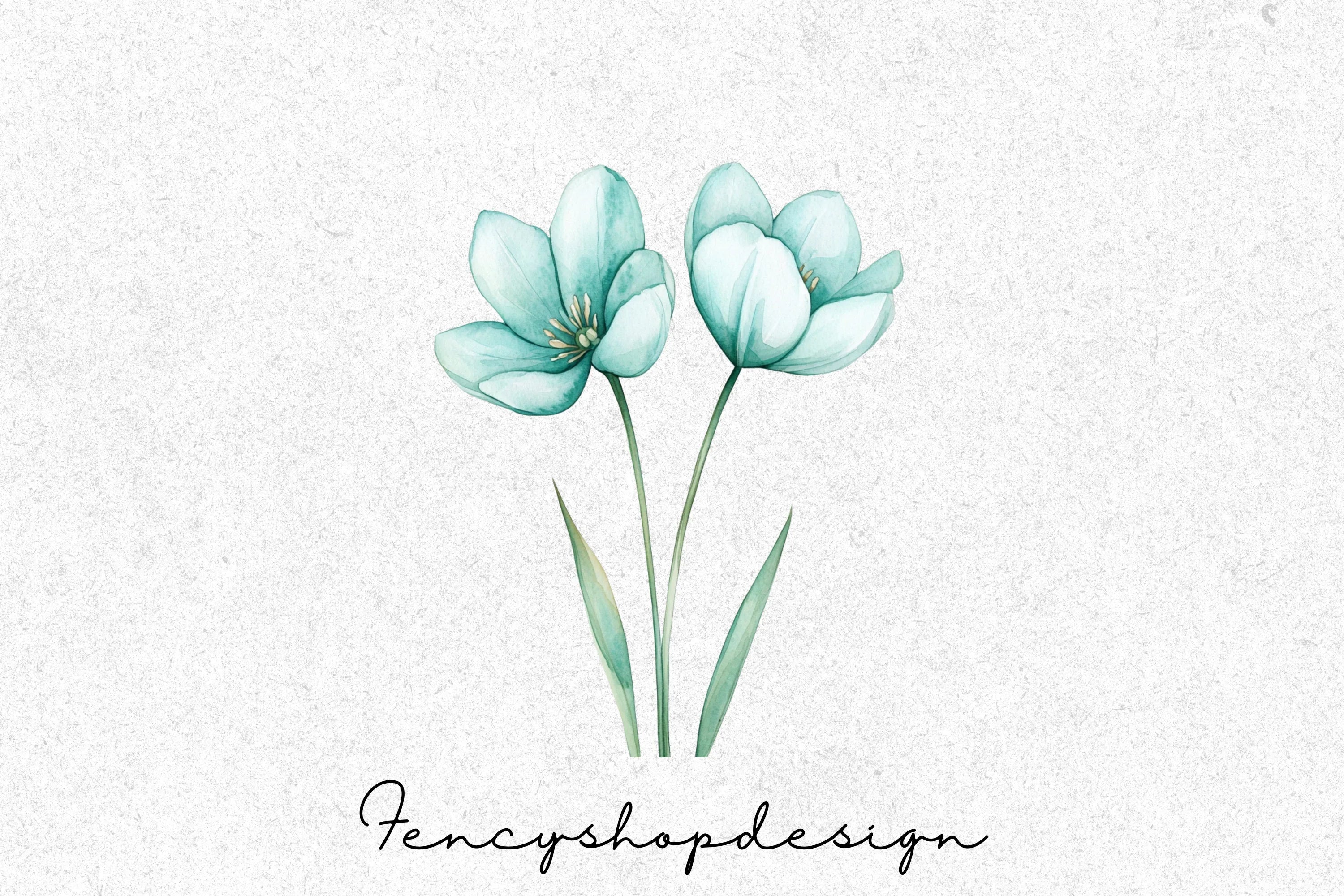 Teal Blue Floral Clipart Bundle - Image 3