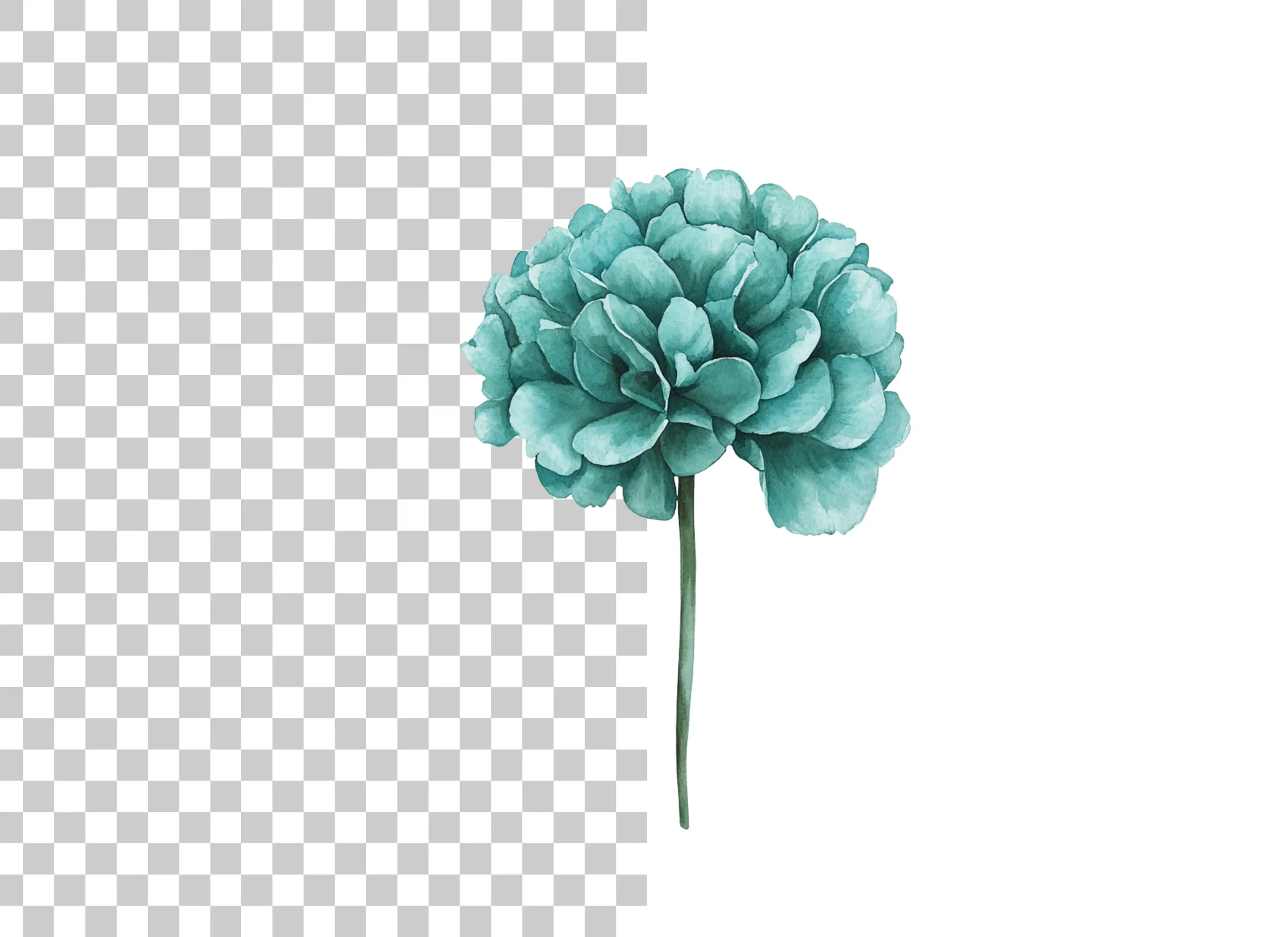 Teal Peony Flower Clipart Bundle - Image 3