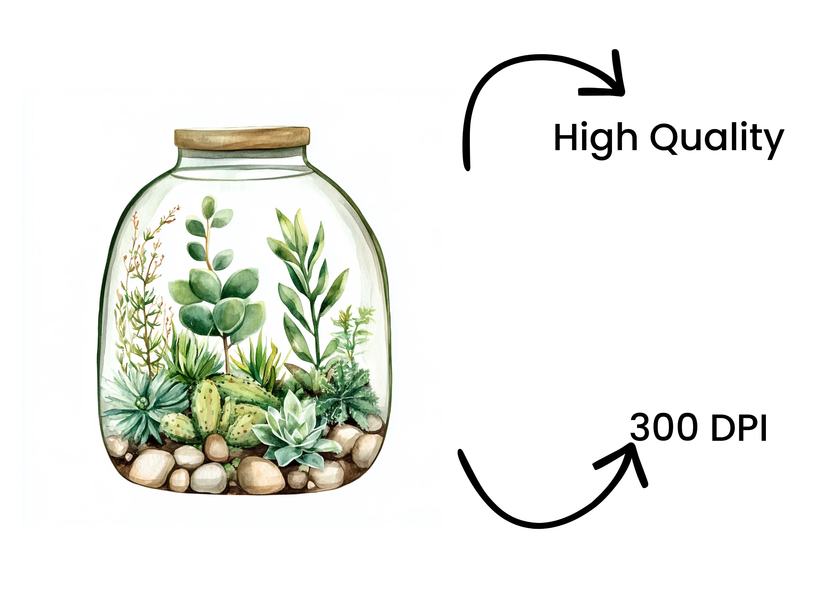 Terrarium Clipart Bundle - Image 4