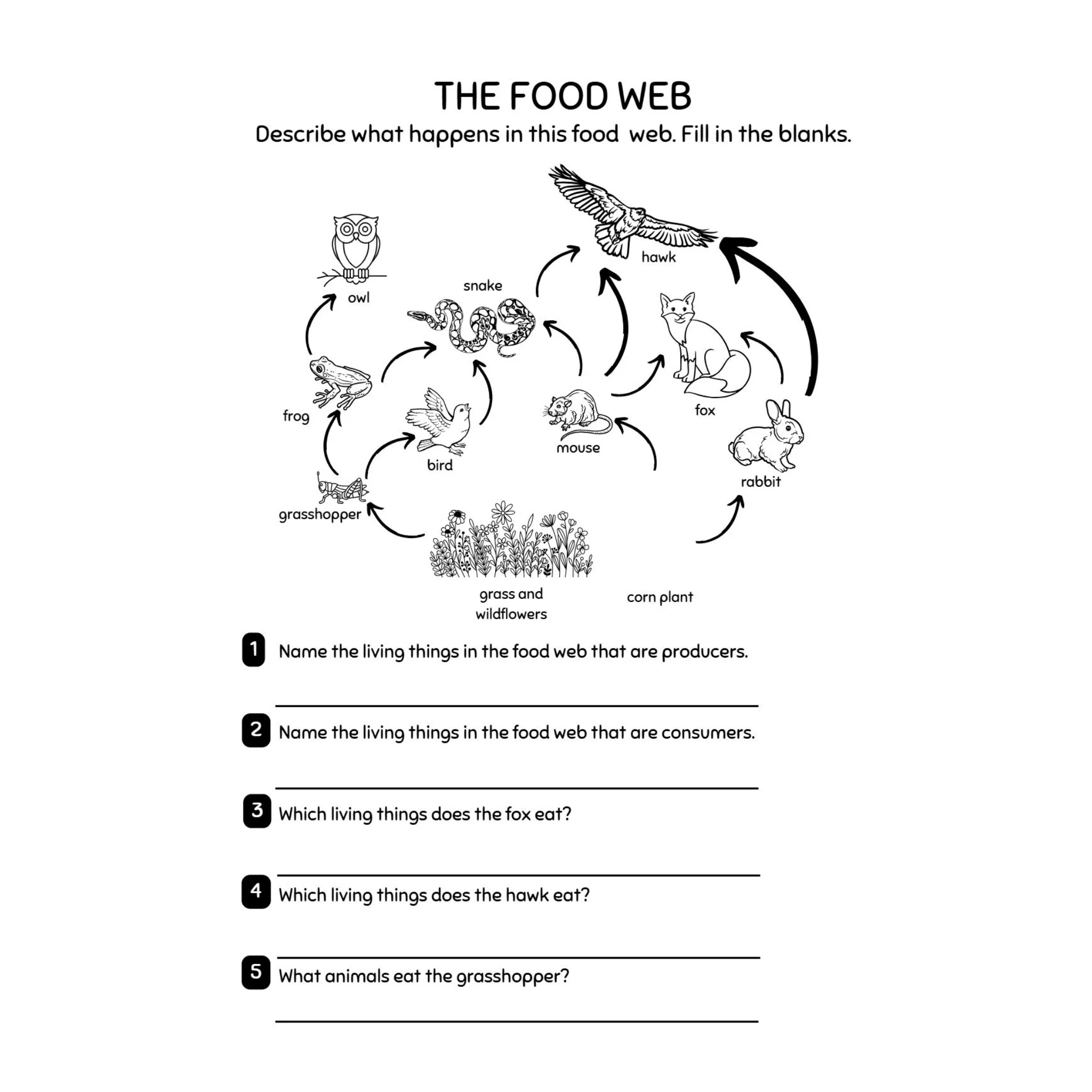 Third Grade Animals Worksheets - Image 5