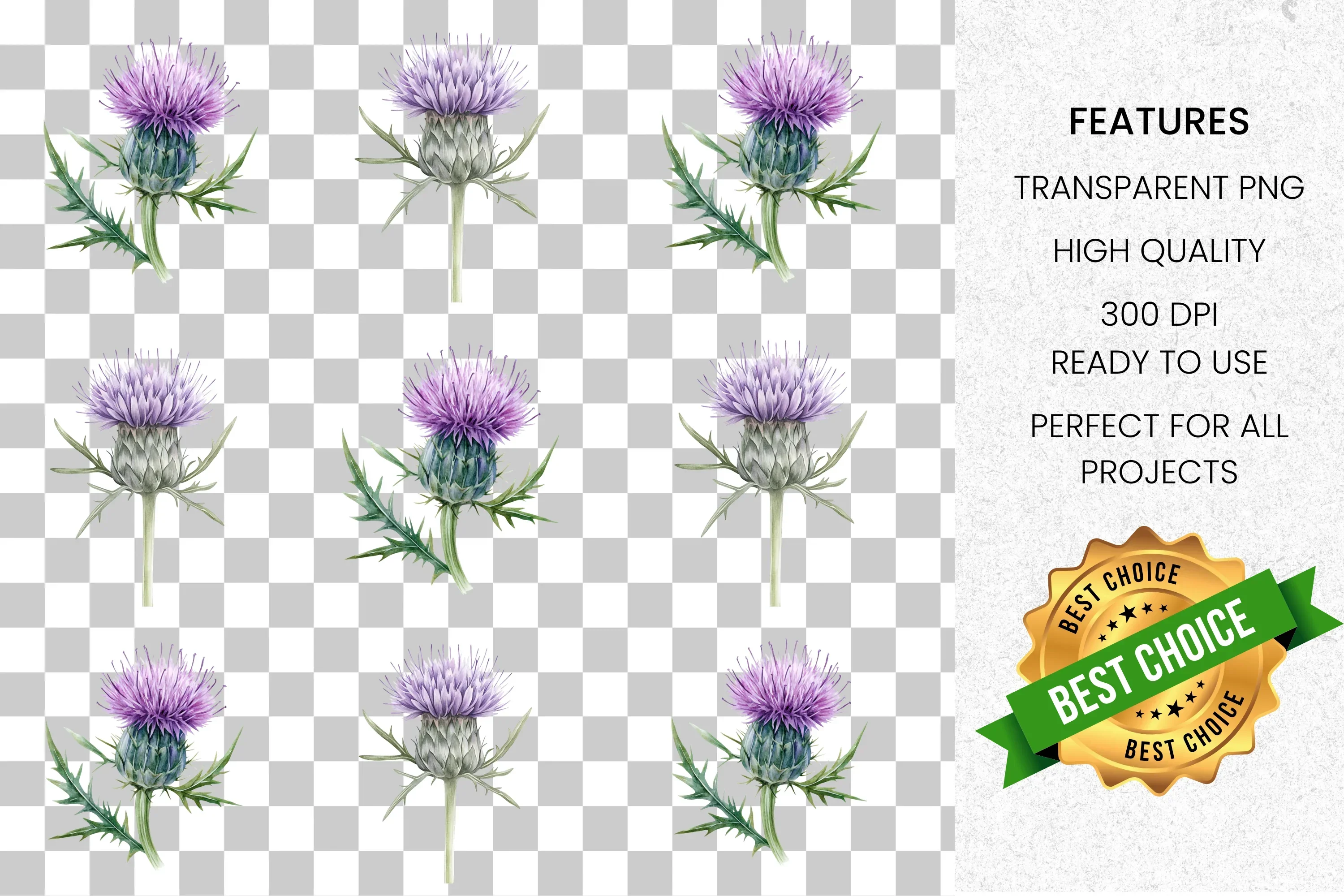 Thistle Flower Clipart Bundle - Image 3