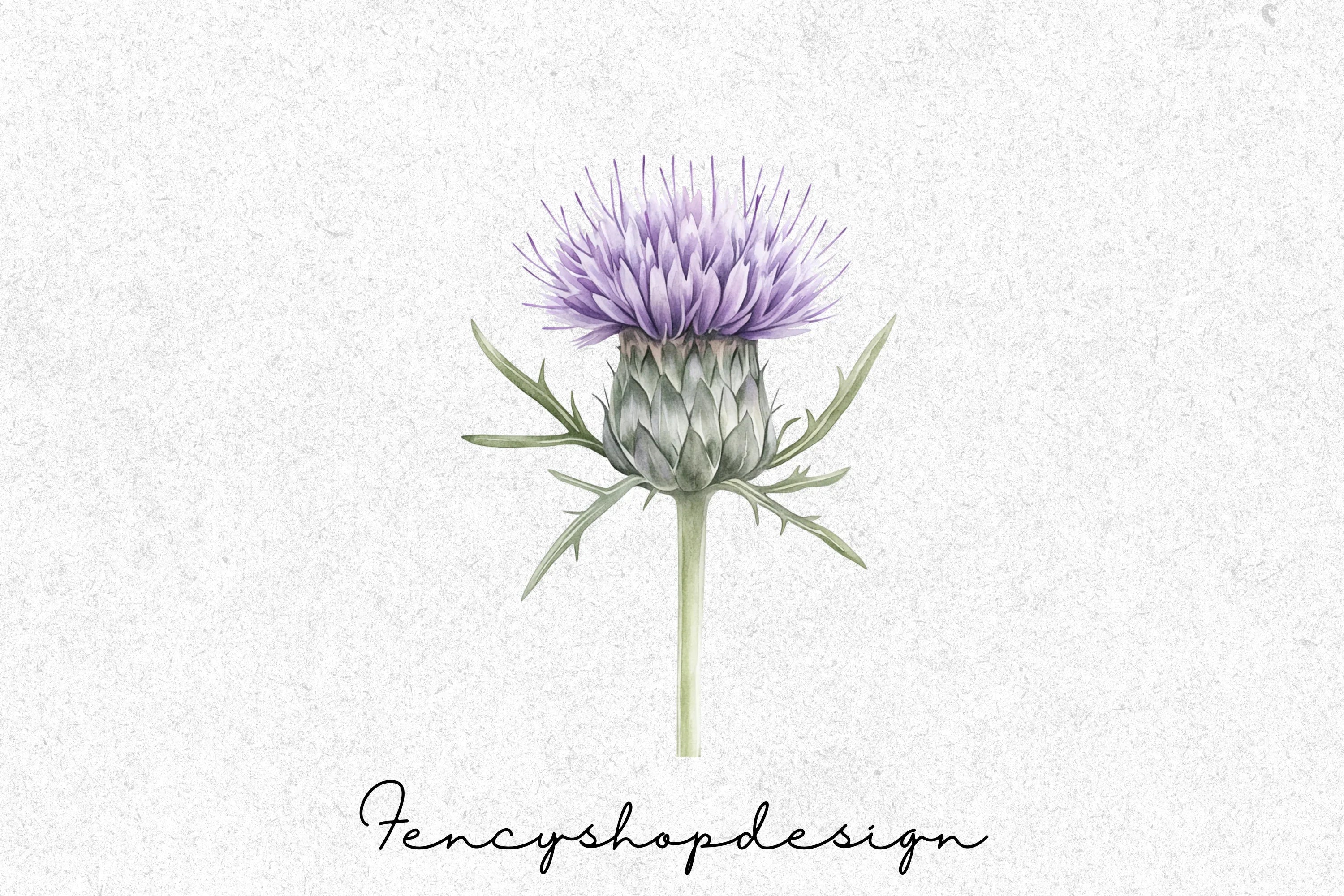 Thistle Flower Clipart Bundle - Image 8