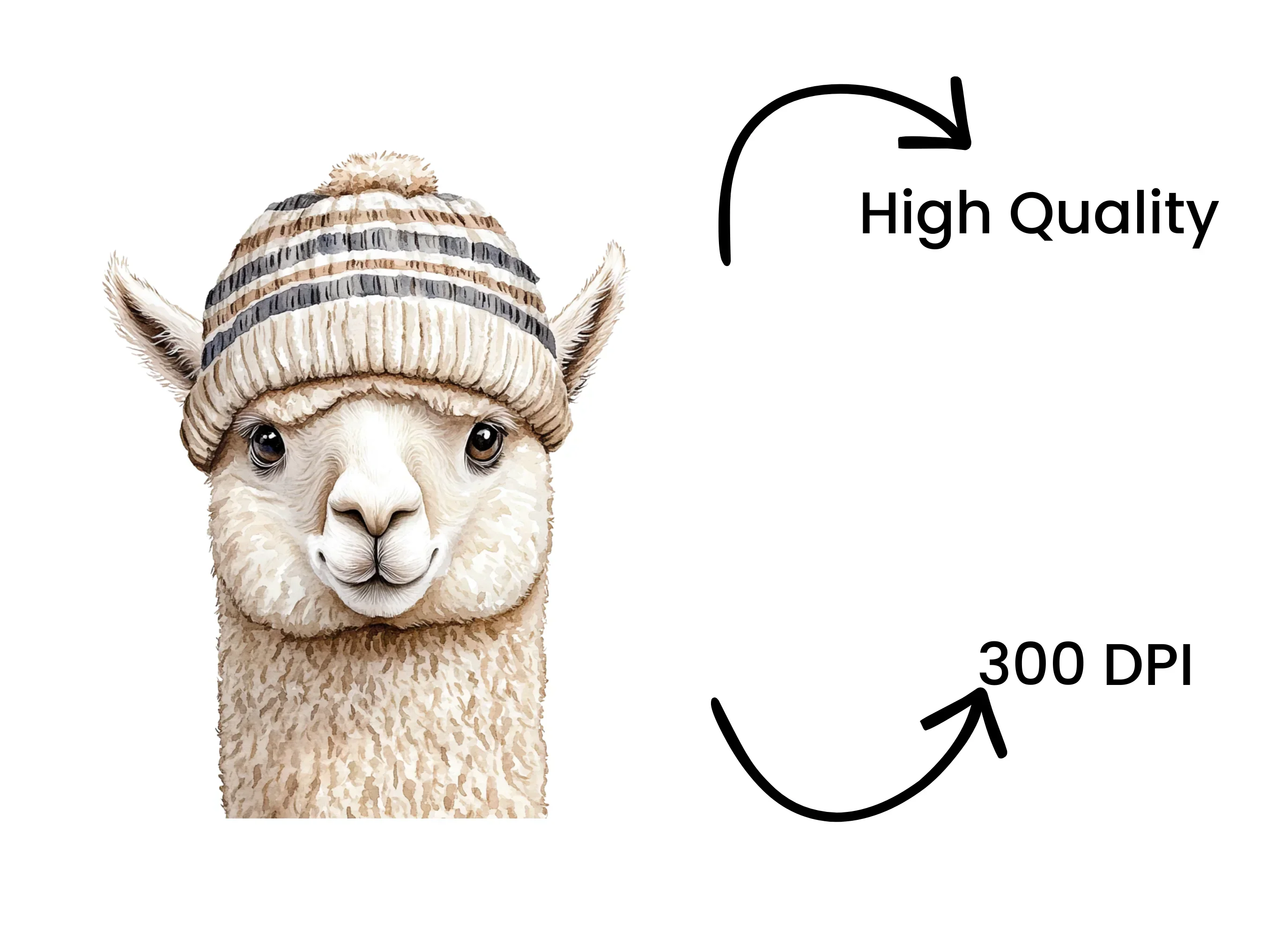 Three Alpacas in Hats Clipart Bundle - Image 4