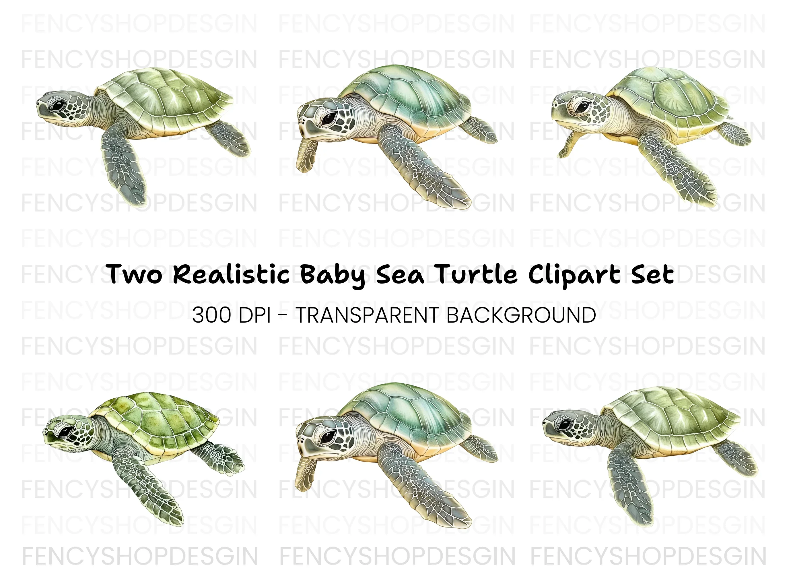 Three Baby Sea Turtles Clipart Bundle