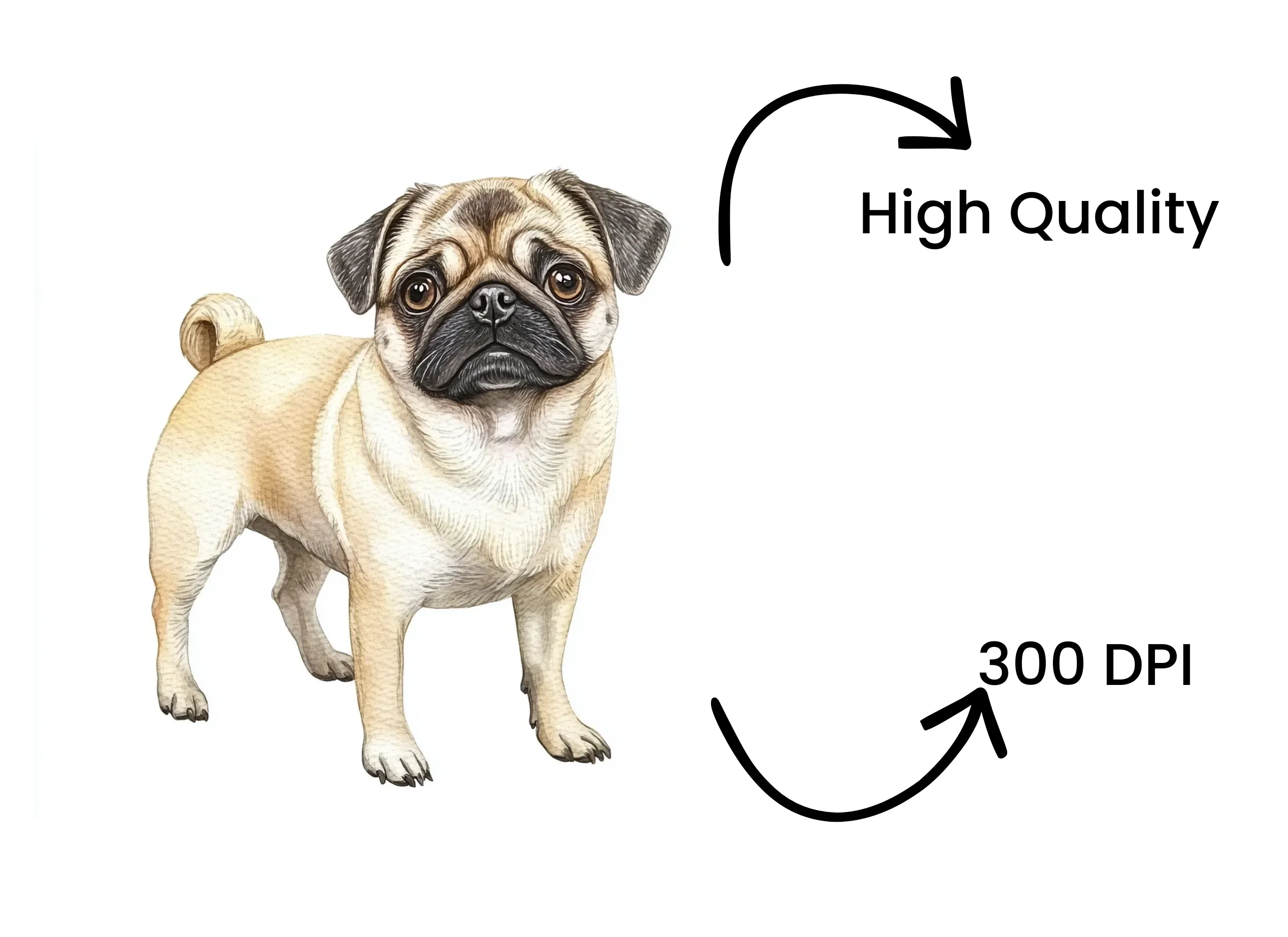 Three Pugs Clipart Bundle - Image 4