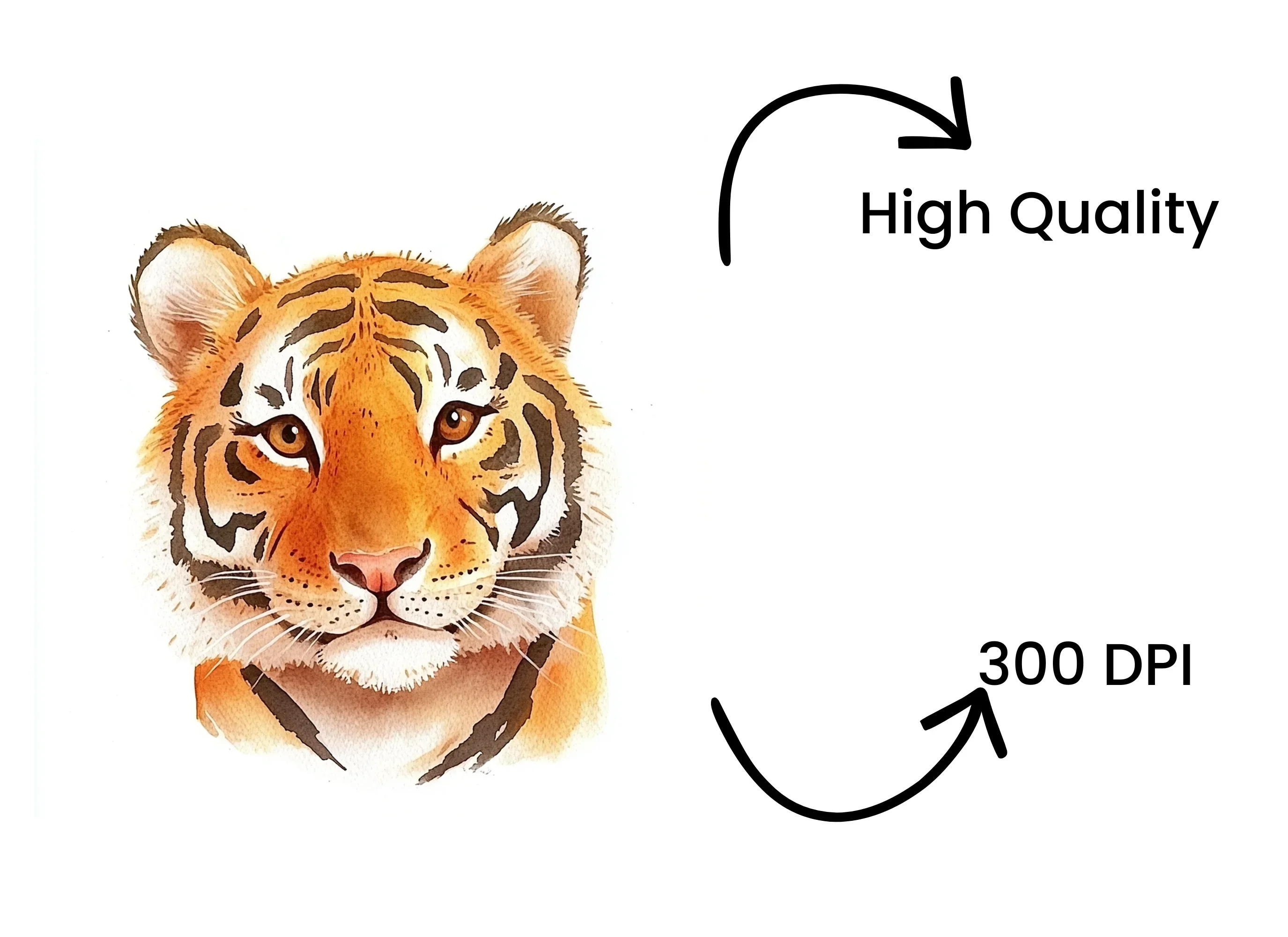 Tiger Head Clipart Bundle - Image 4