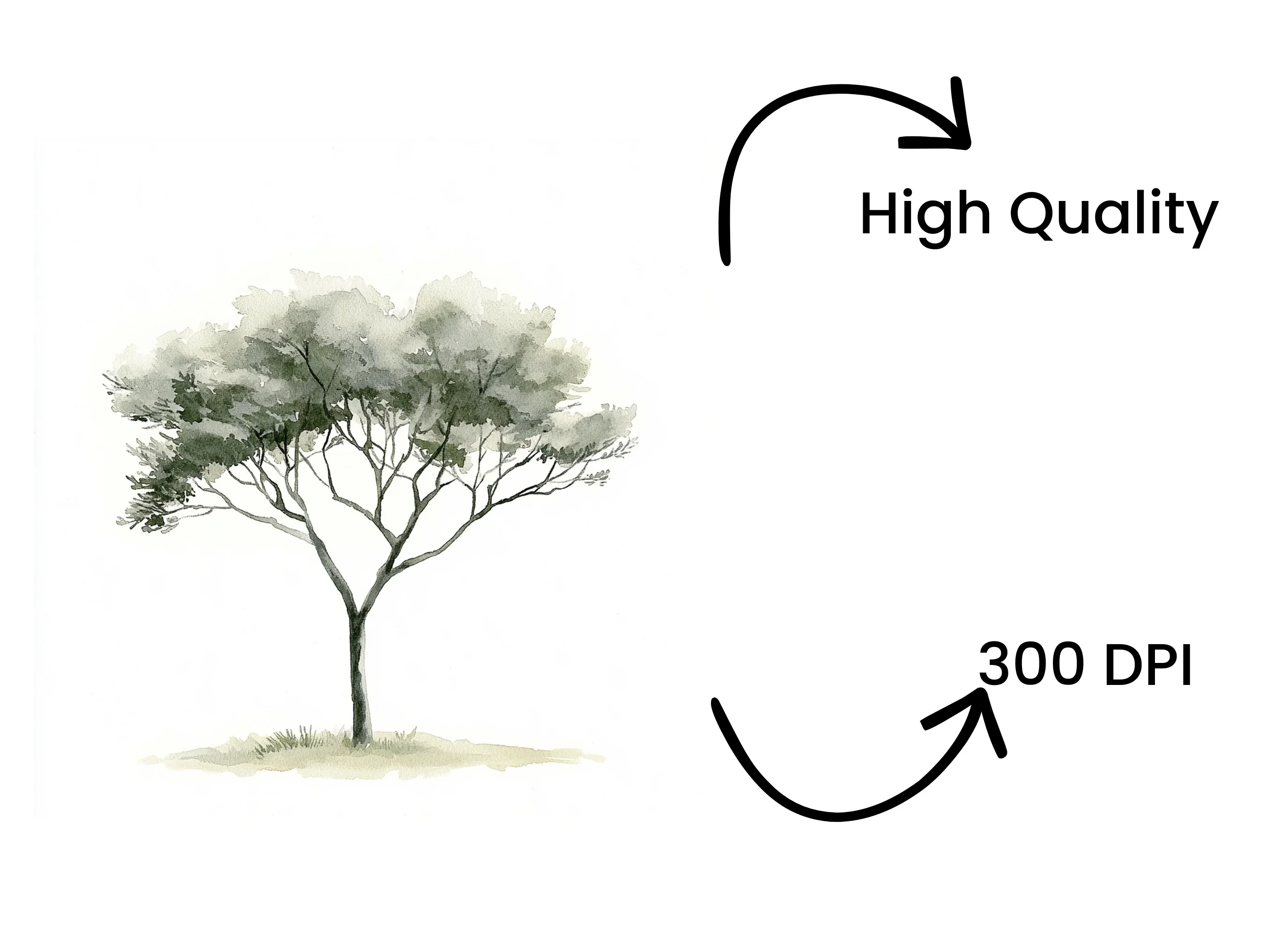 Tree Clipart Bundle - Image 4